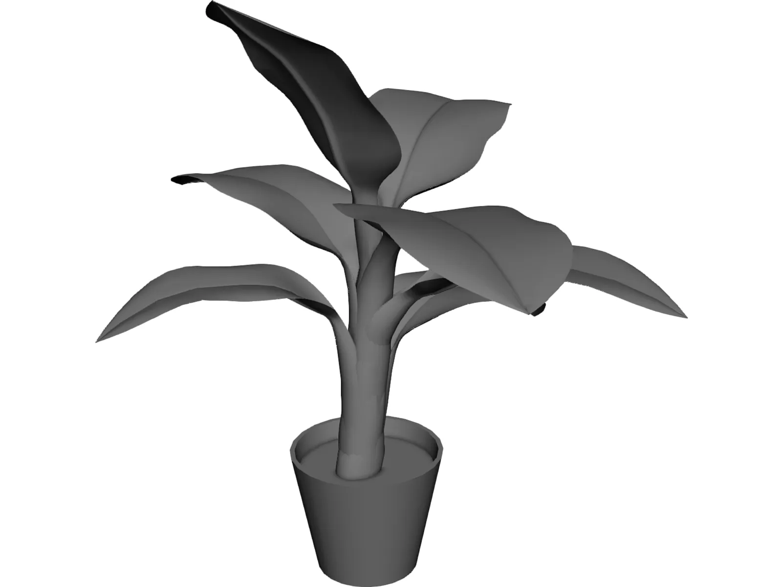 Banana Plant 3D Model main preview