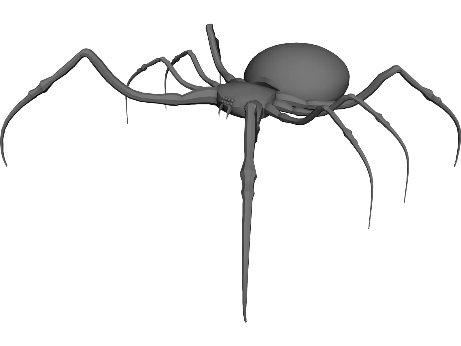 Spider 3D Model main preview