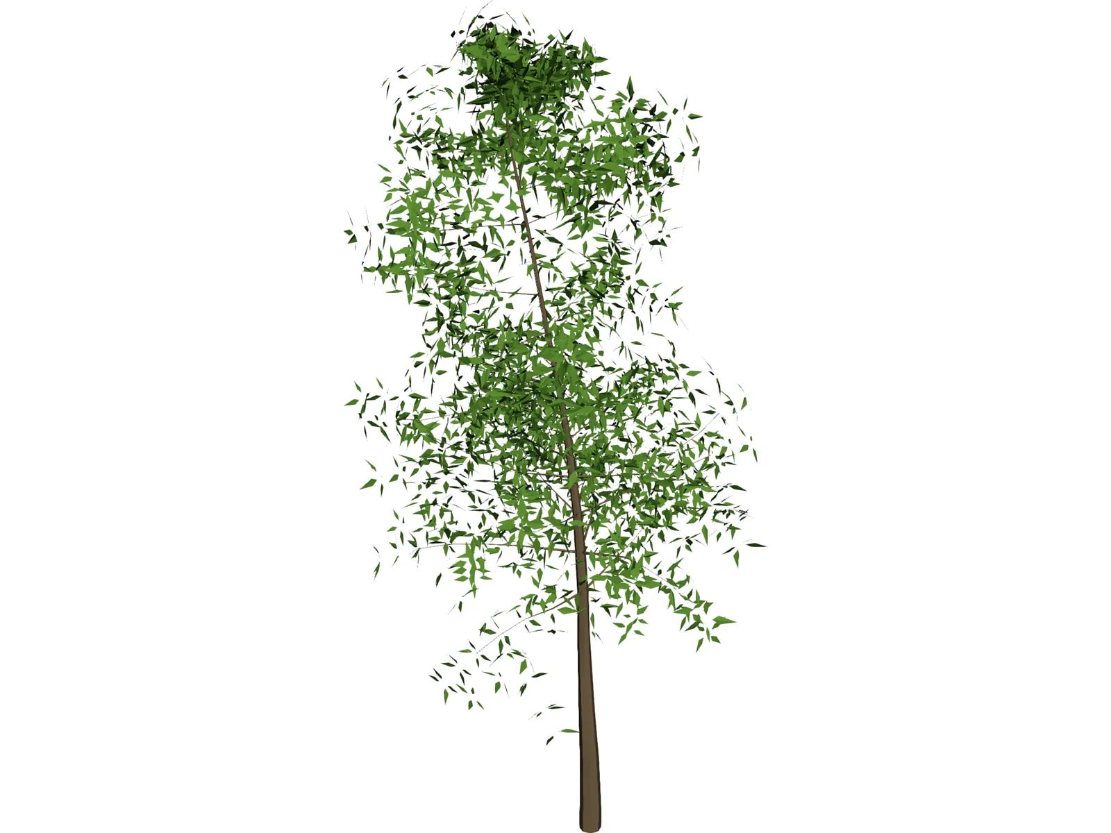 Tree 3D Model main preview