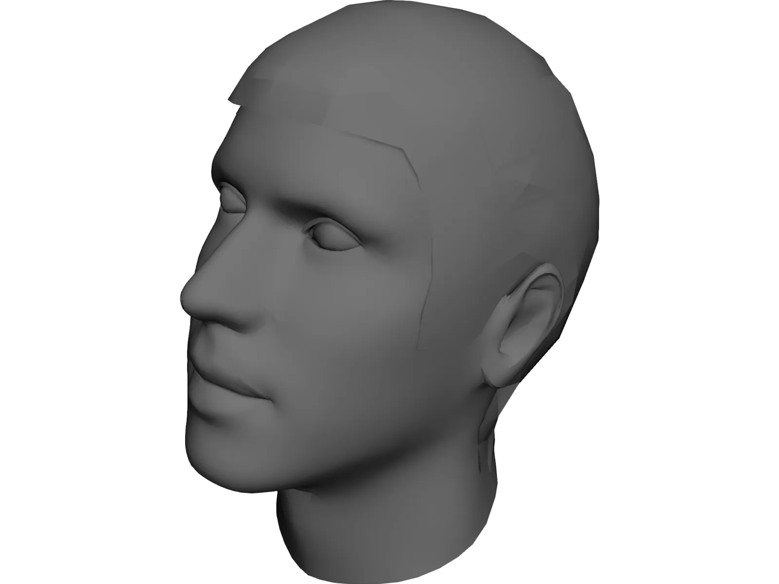Man Head 3D Model main preview