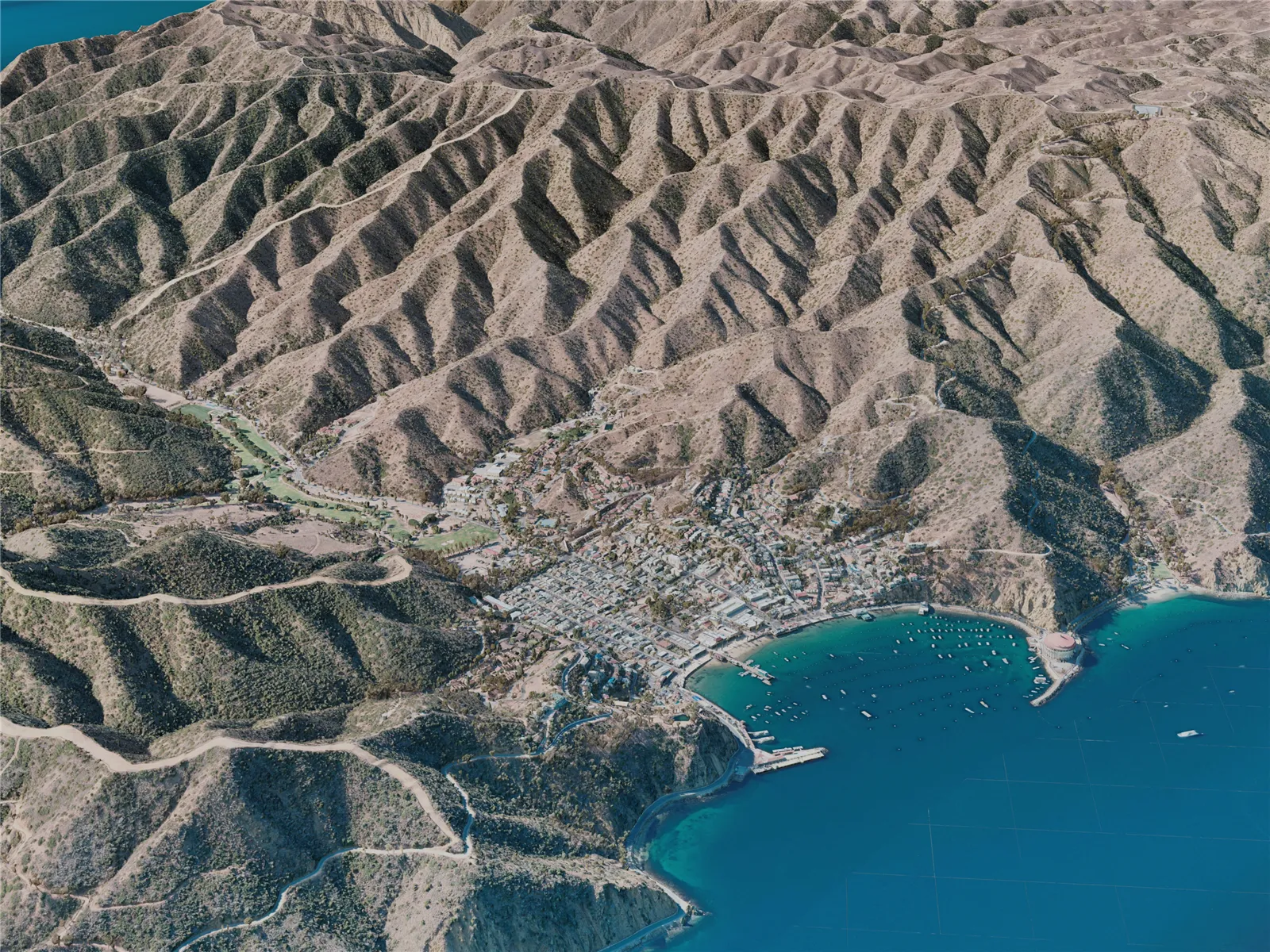 Catalina Island, USA (2021) 3D Model main preview