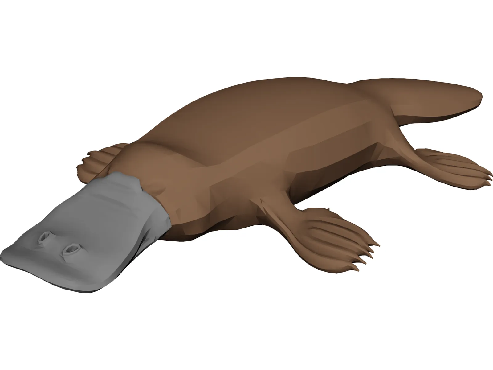Platypus 3D Model main preview