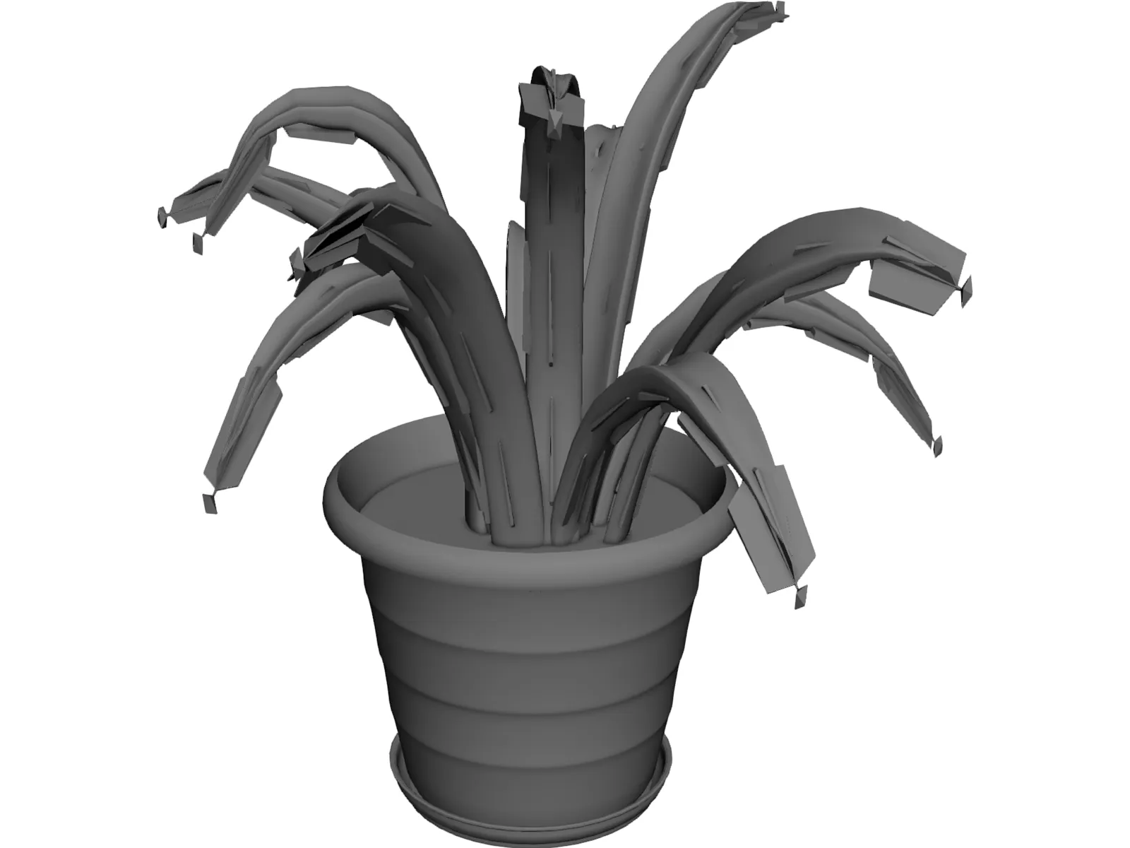 Aloe Plant in a Pot 3D Model main preview