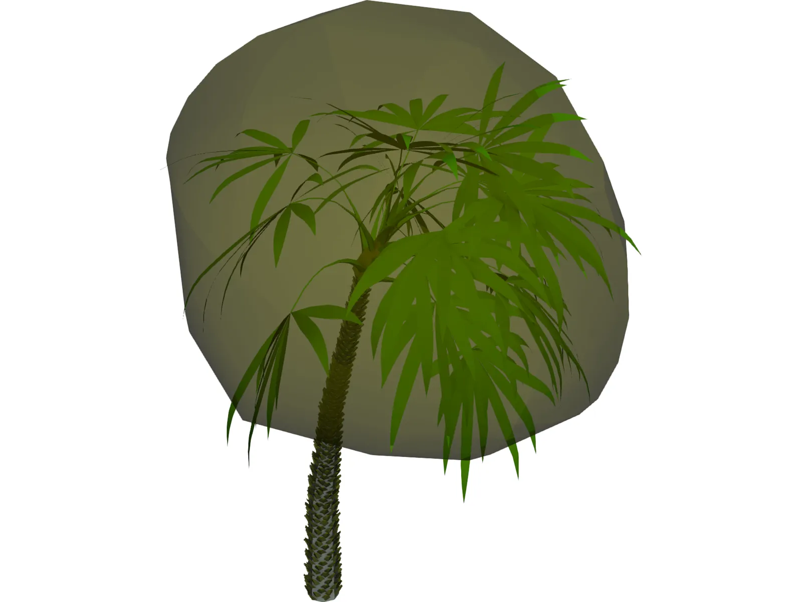 Palm 3D Model main preview