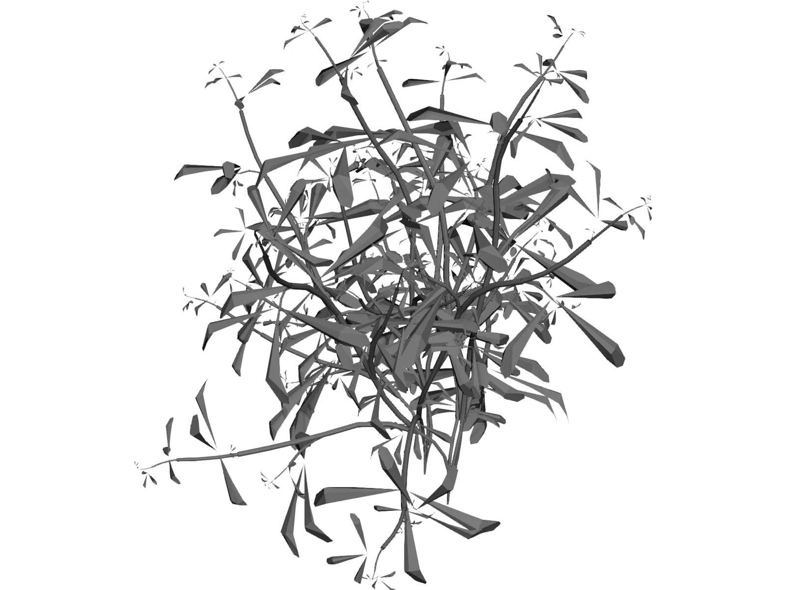 Flower 3D Model main preview