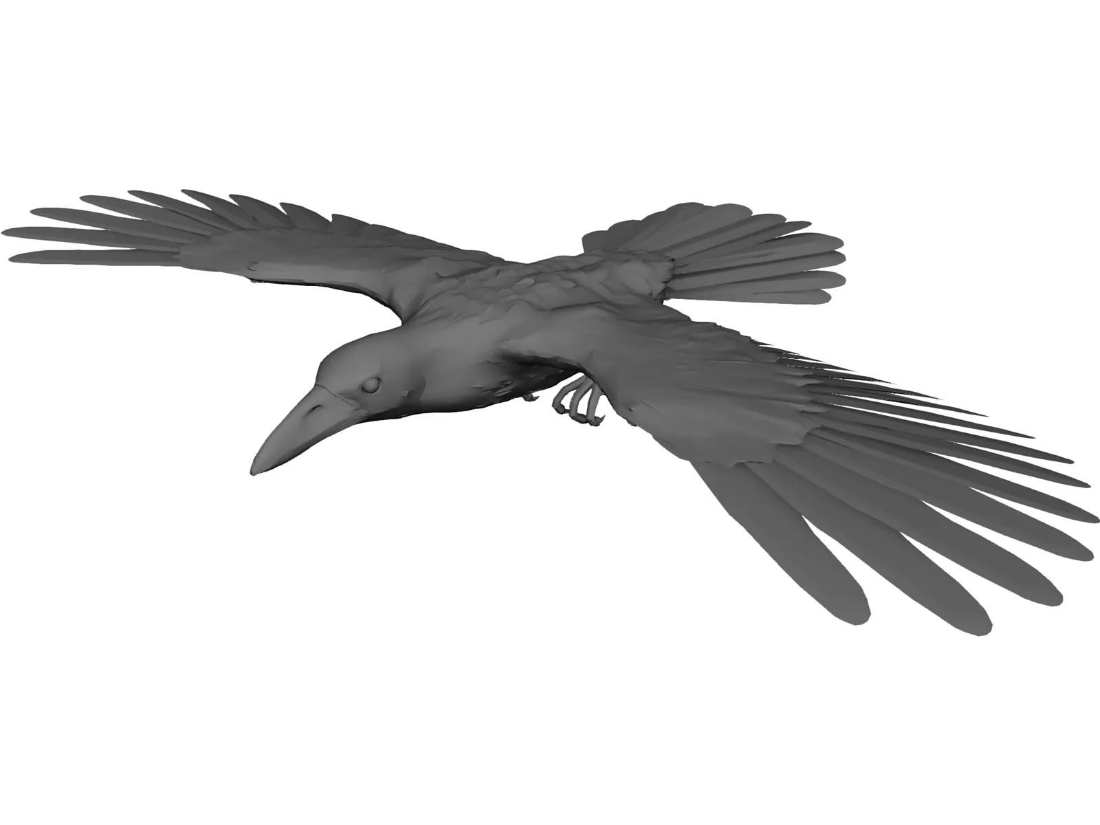 Raven 3D Model main preview