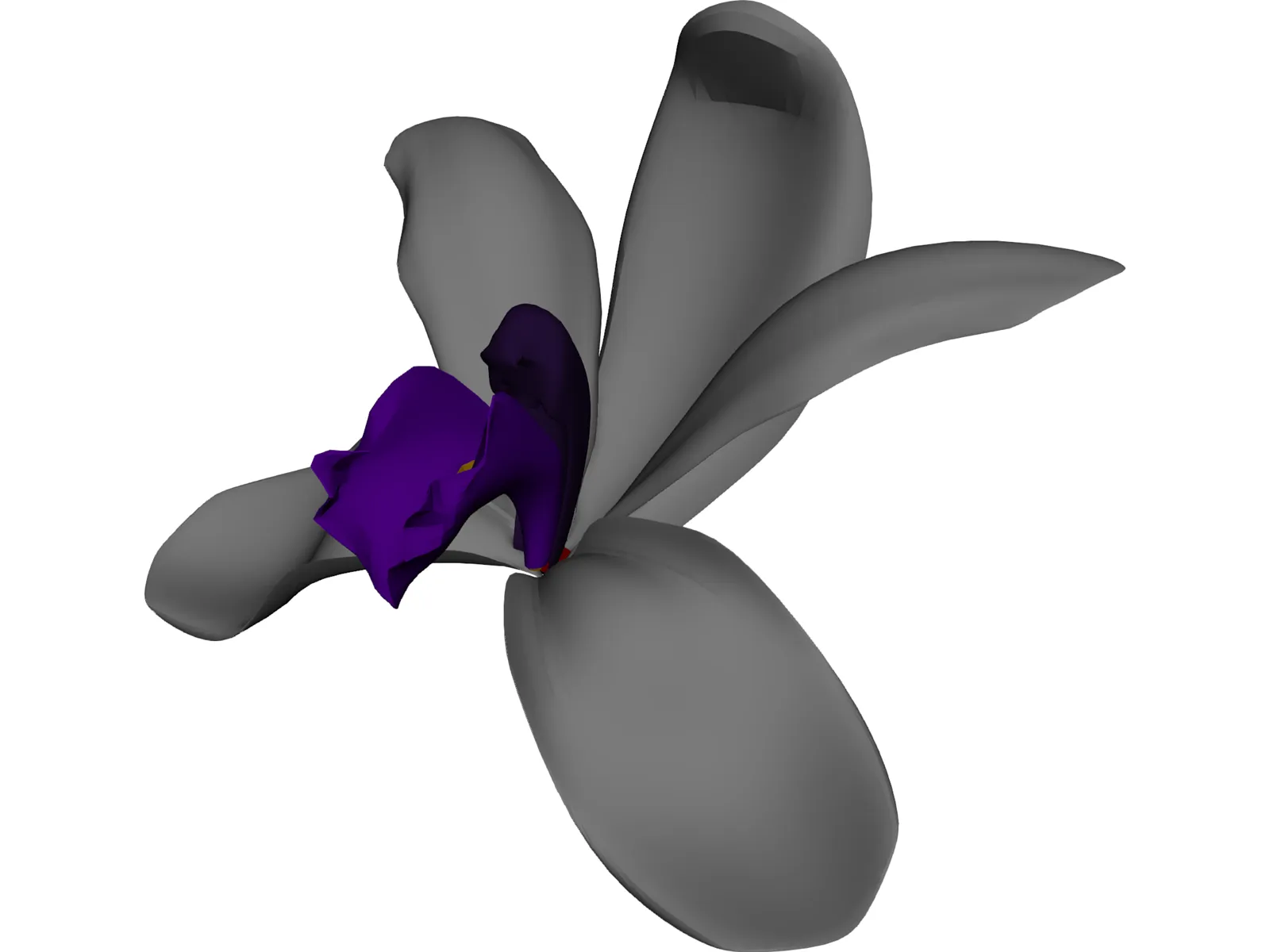 Orchid 3D Model main preview
