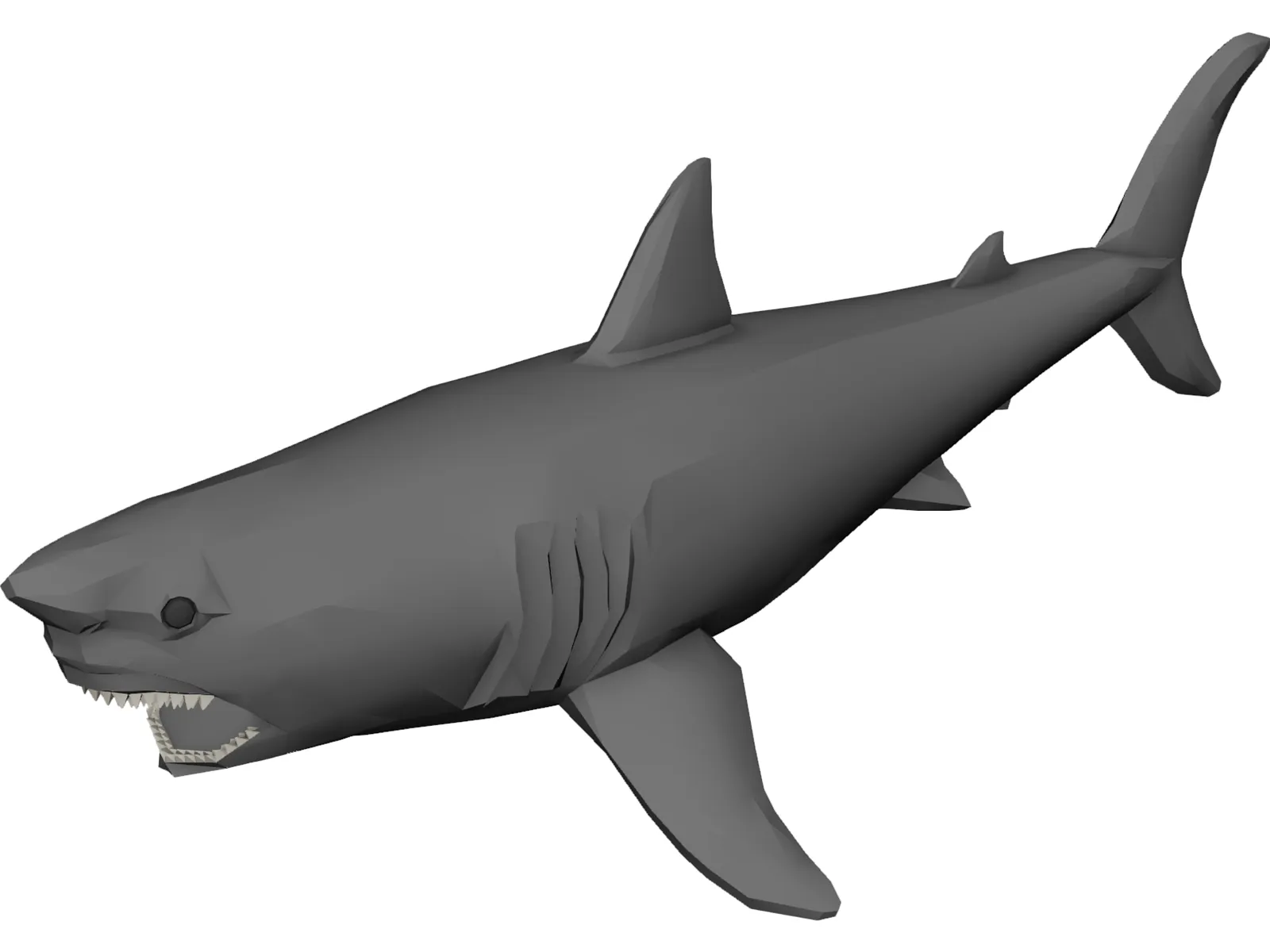Shark Great White 3D Model main preview
