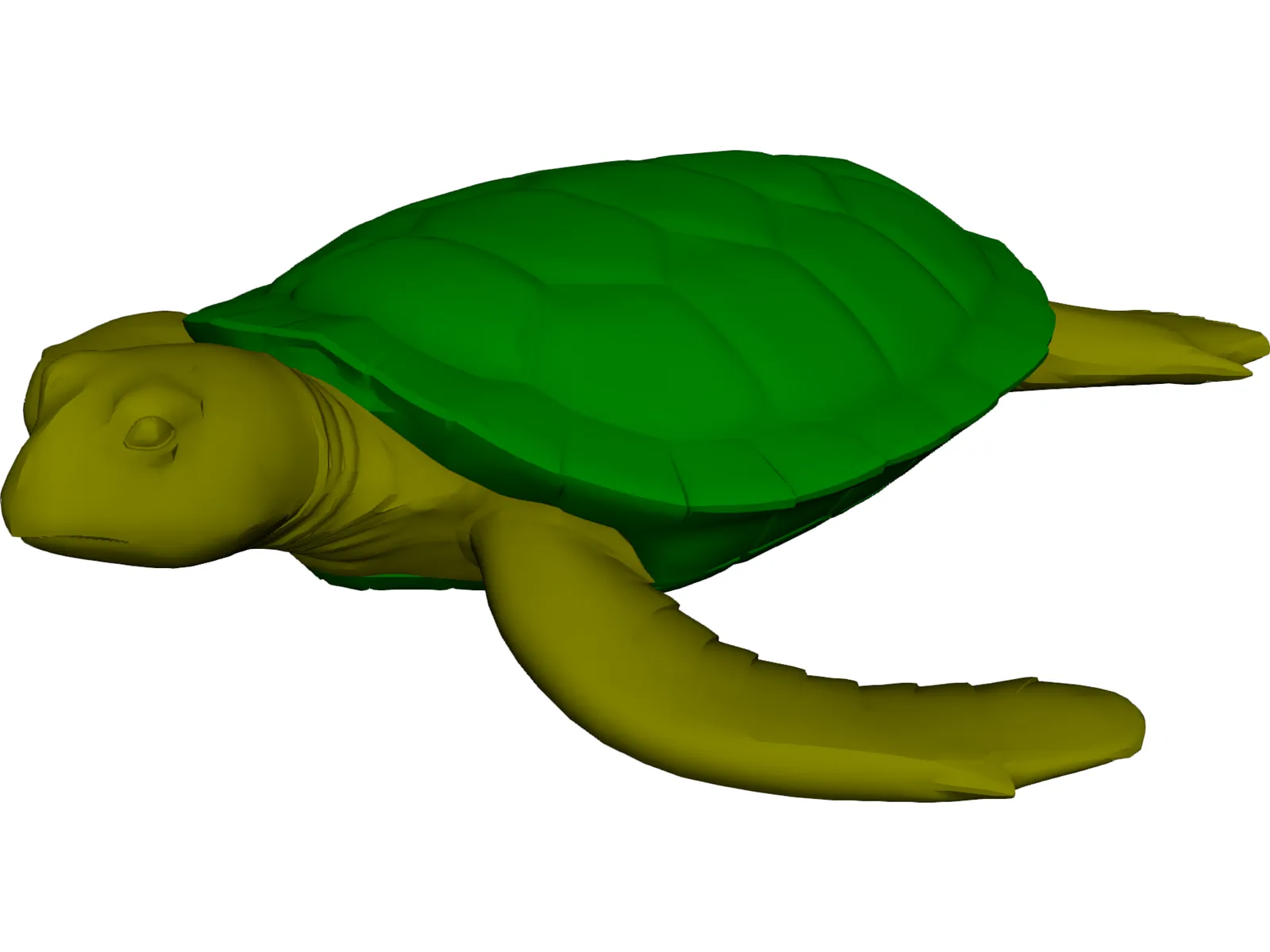 Turtle 3D Model main preview