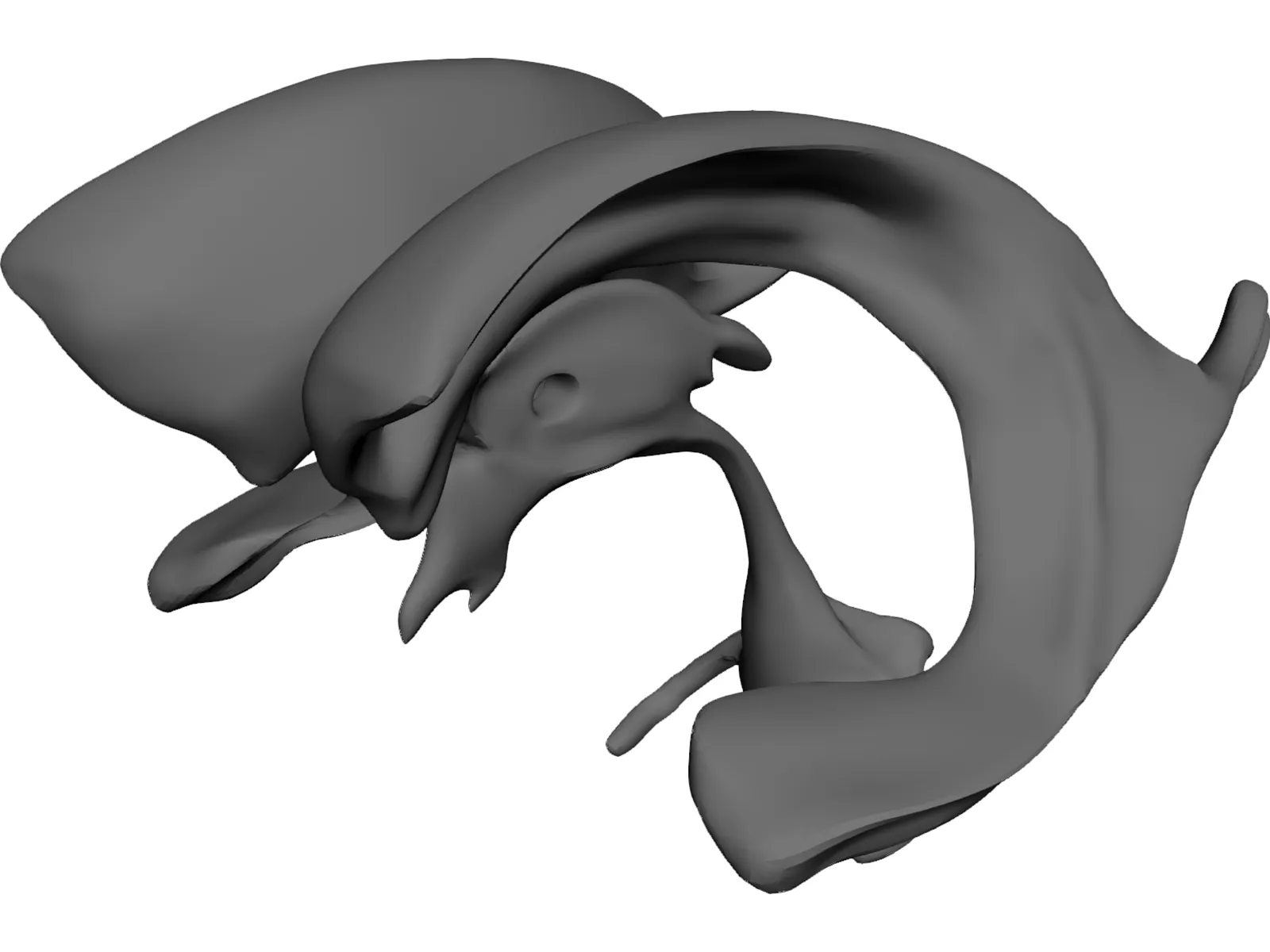Brain Ventricle 3D Model main preview