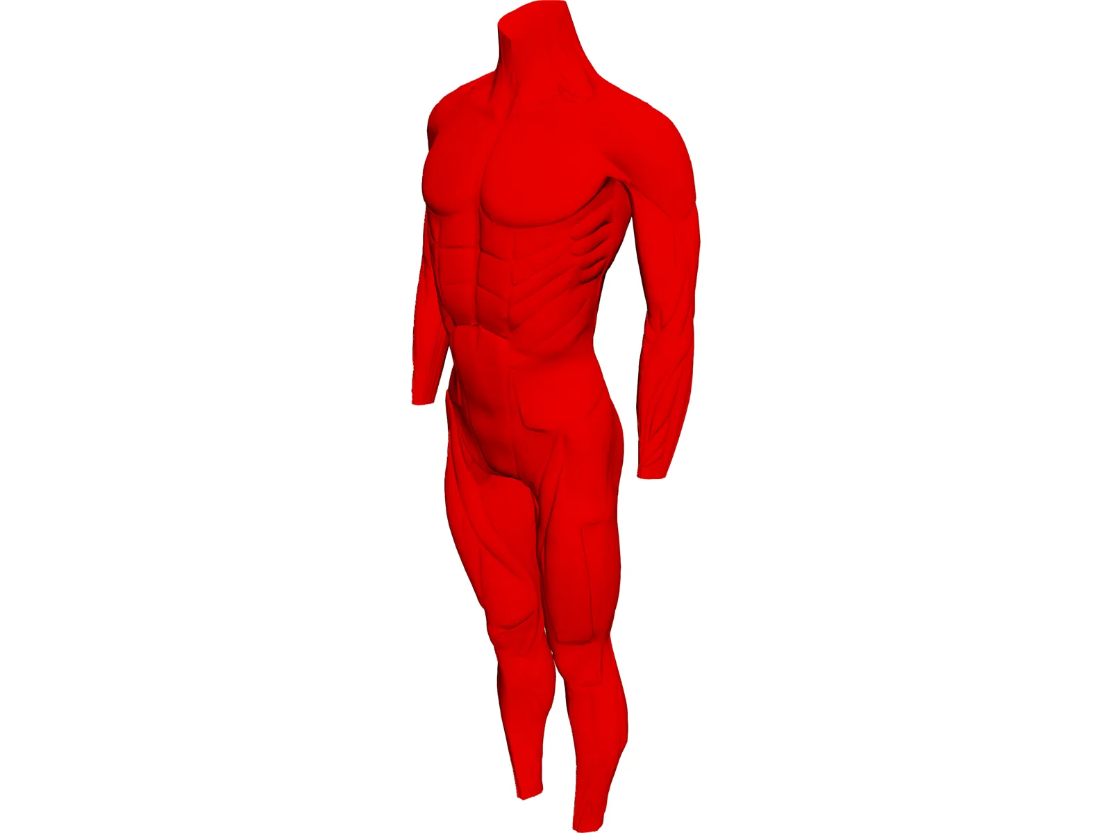 Surface Muscles 3D Model main preview