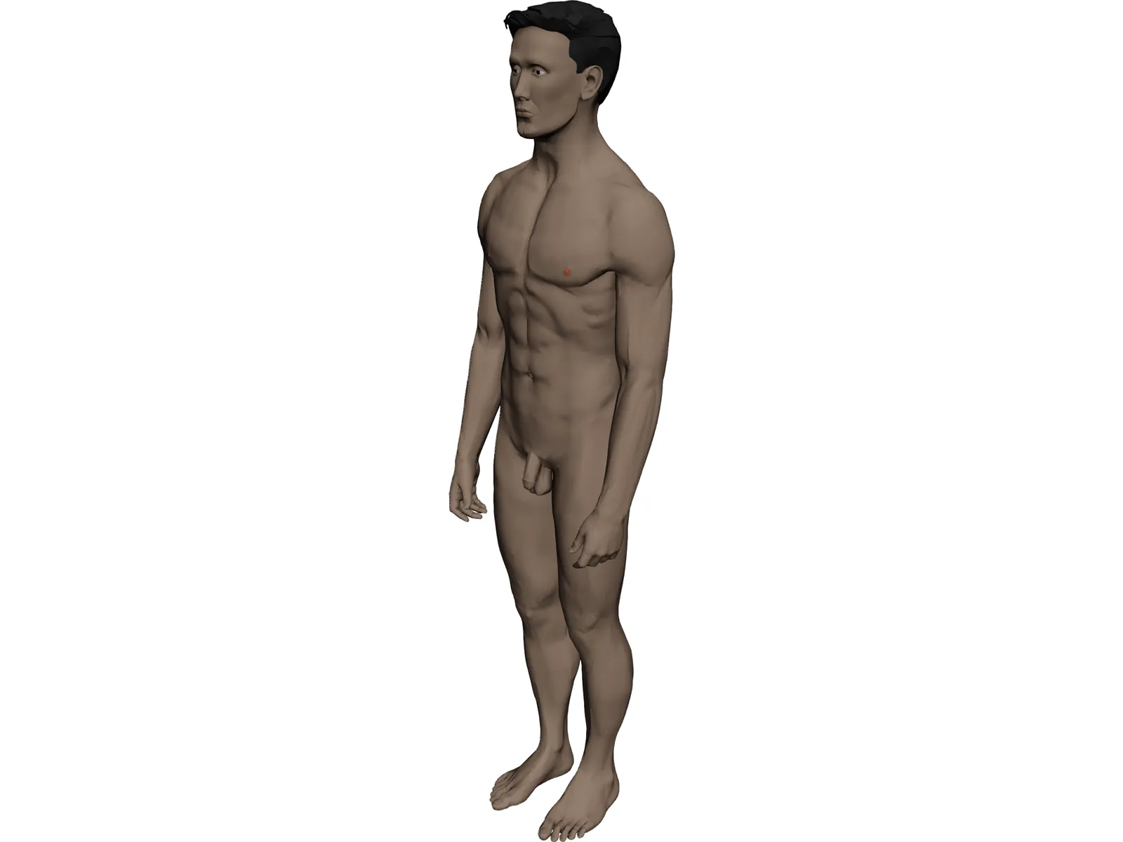 Man 3D Model main preview