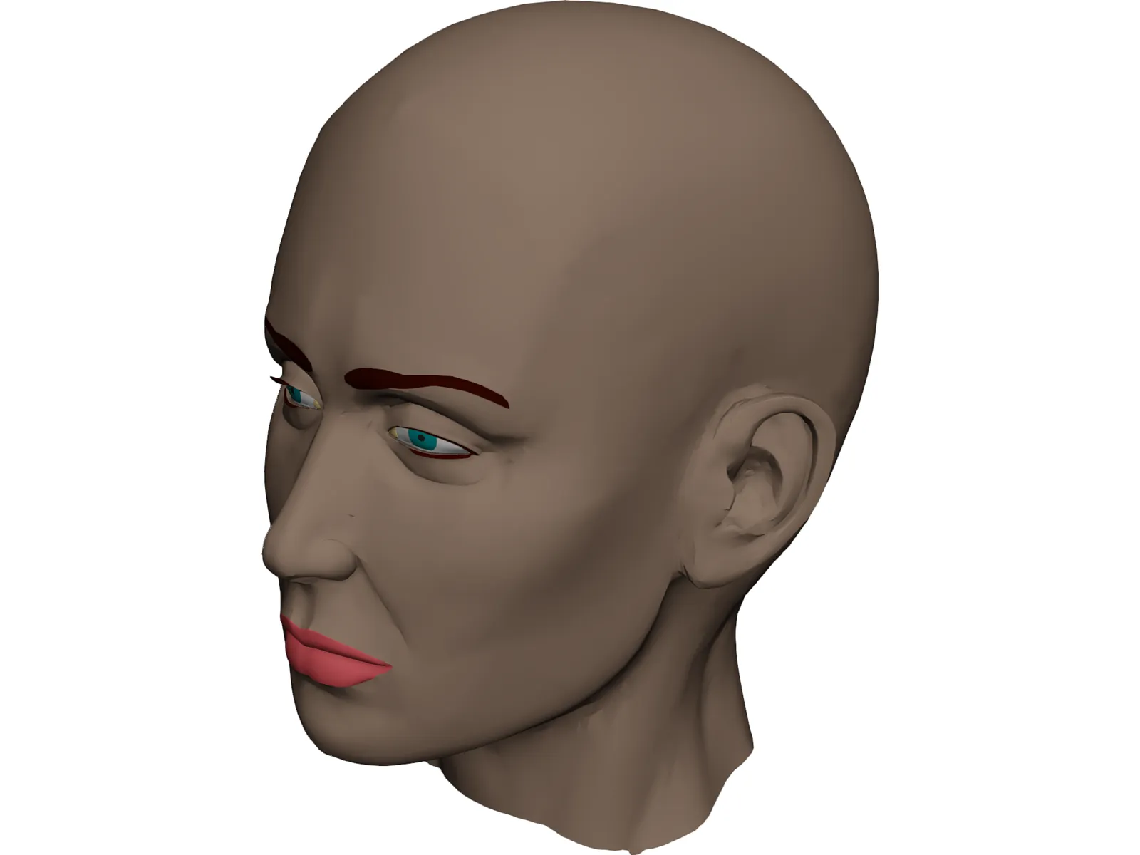 Head Female 3D Model main preview
