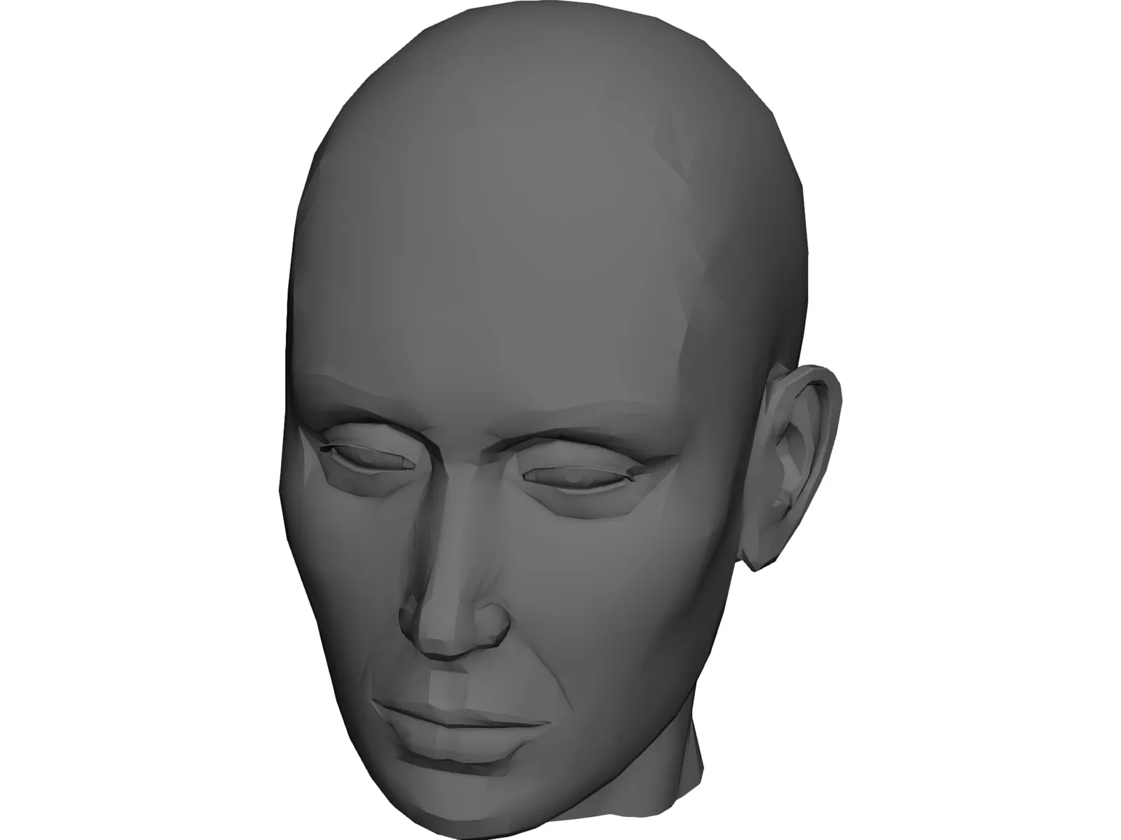Head Female 3D Model main preview