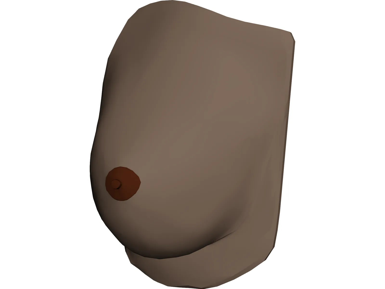 Breast 3D Model main preview