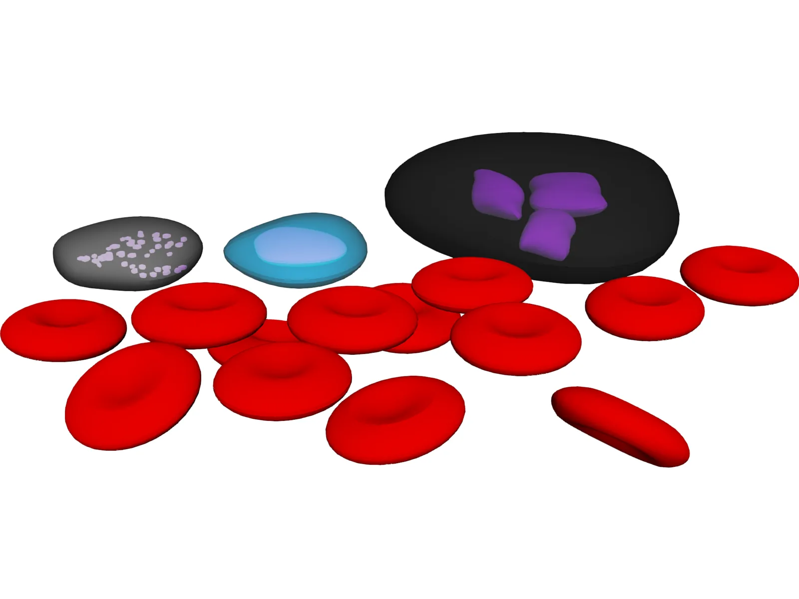 Blood Cells 3D Model main preview