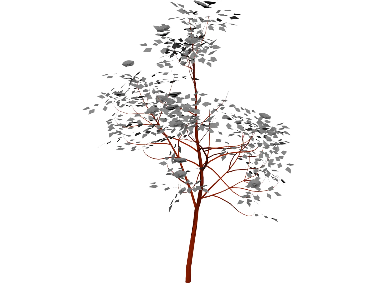 American Mountain Ash 3D Model main preview