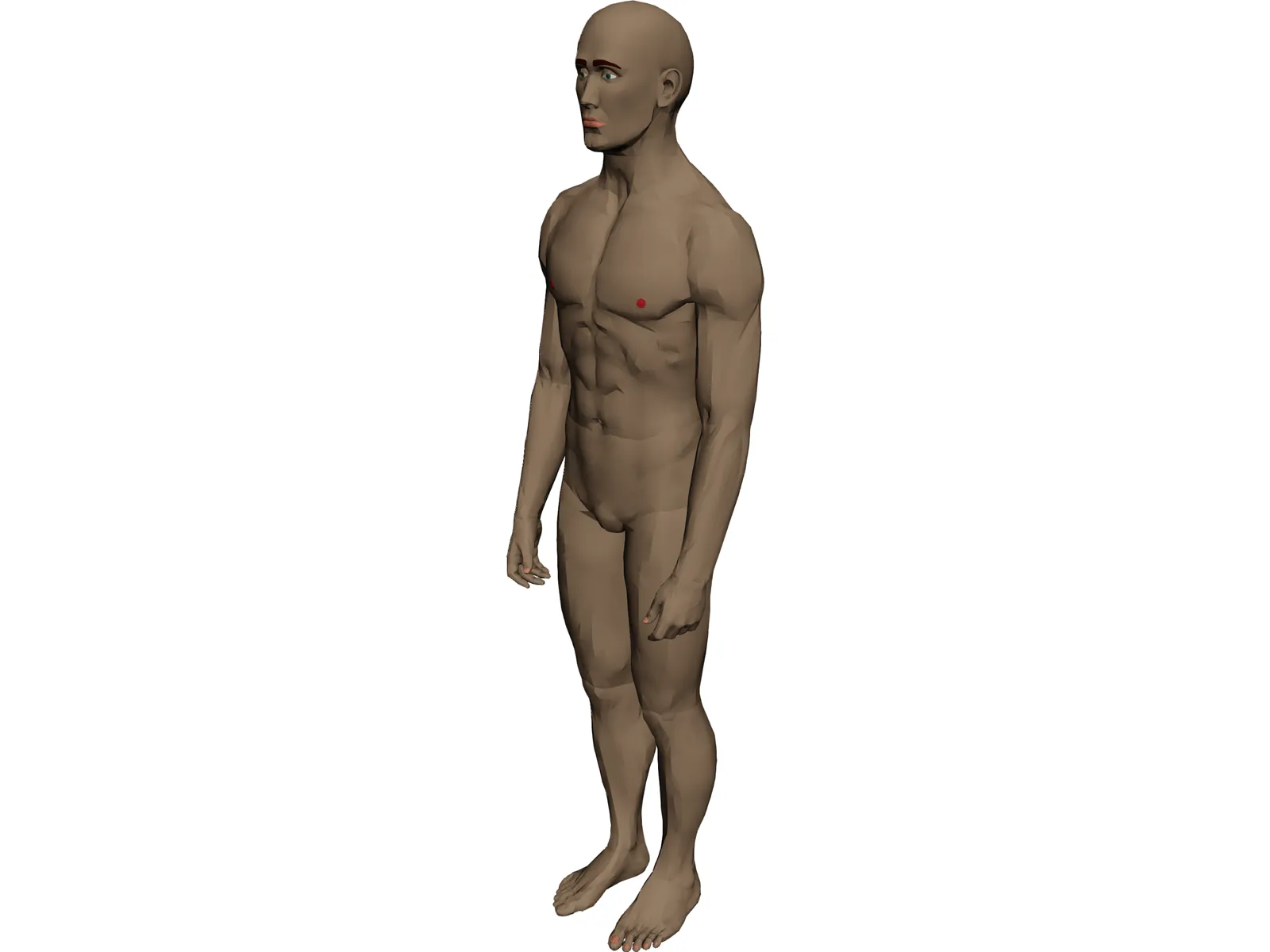 Man 3D Model main preview