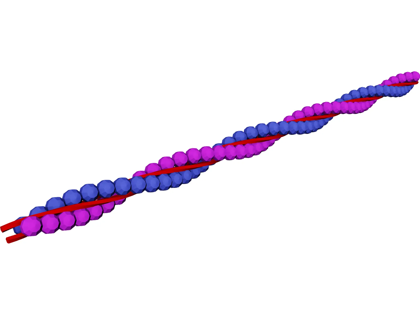 Actin DNA Strand 3D Model main preview