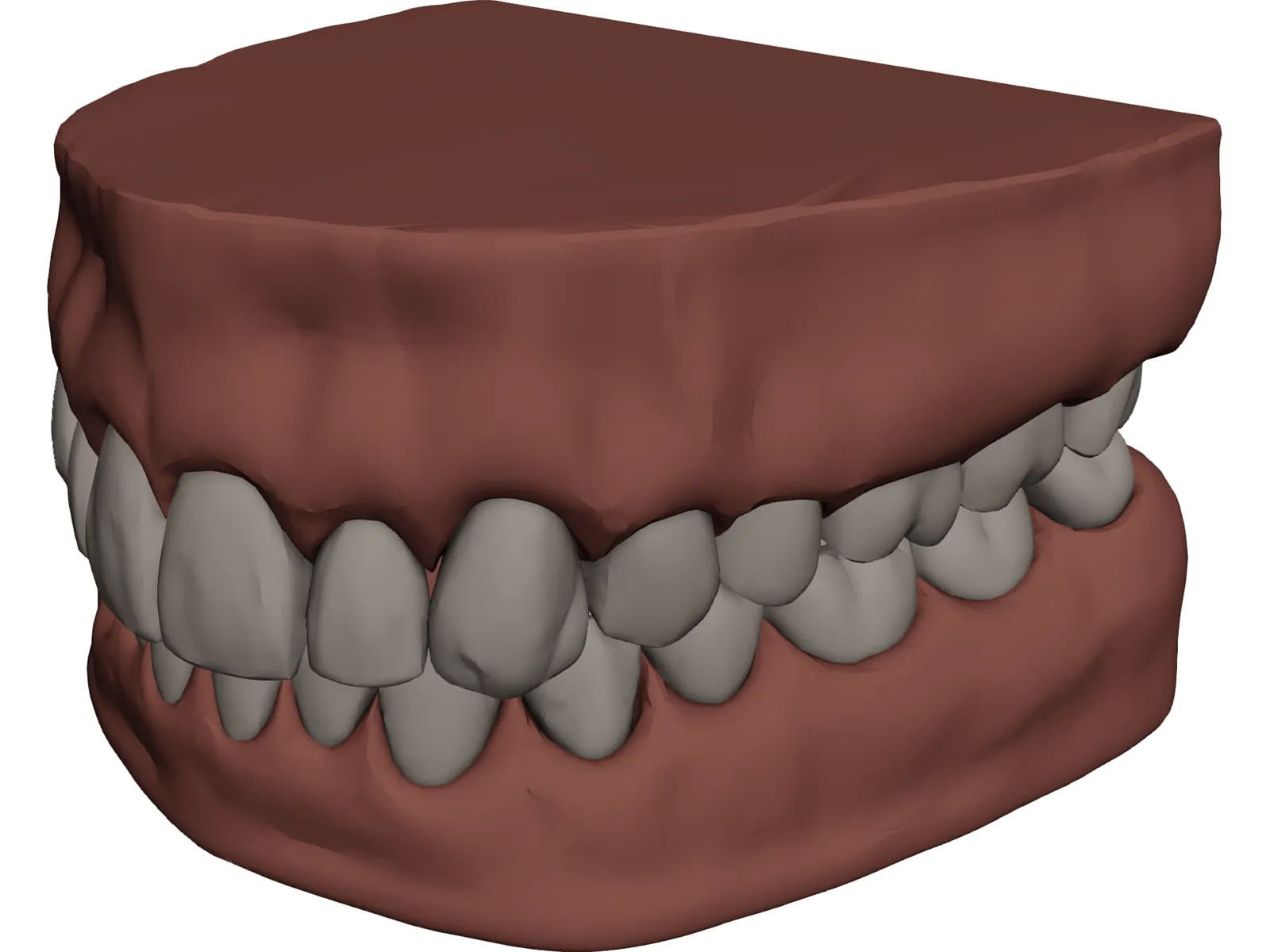 Teeth and Gums 3D Model main preview