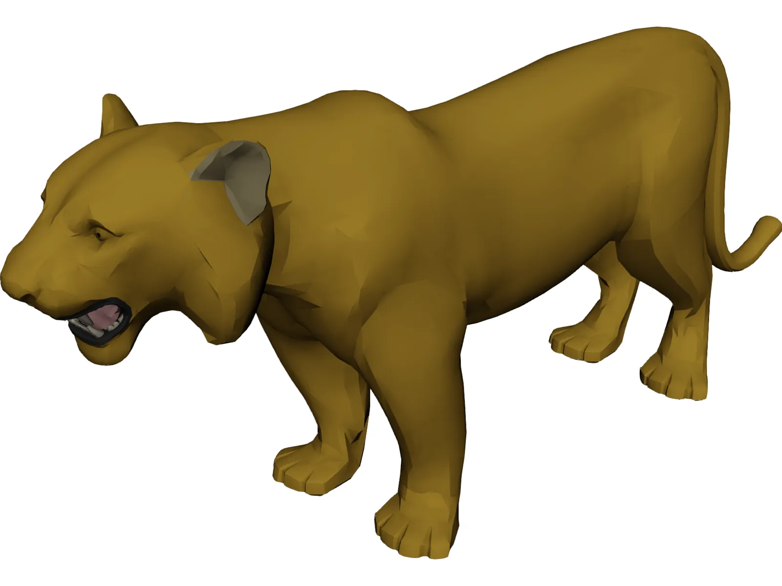 Tiger 3D Model main preview