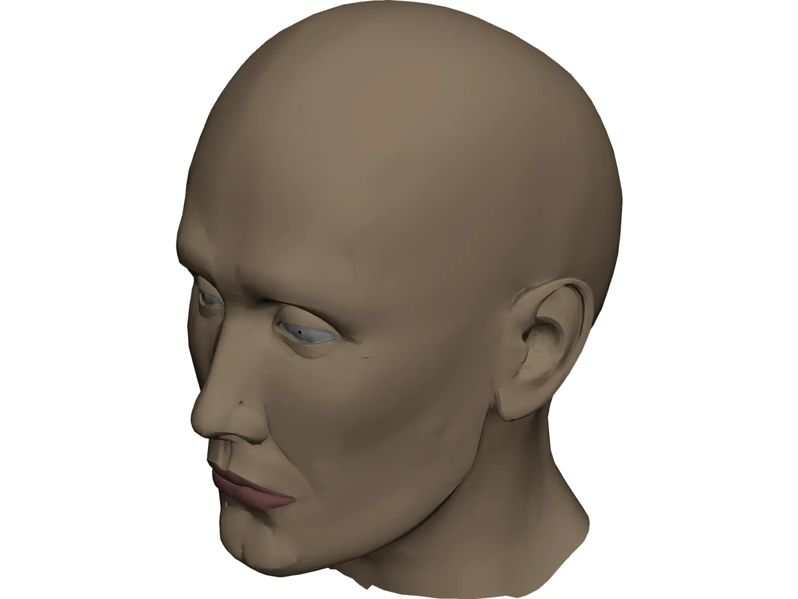 Head Male 3D Model main preview