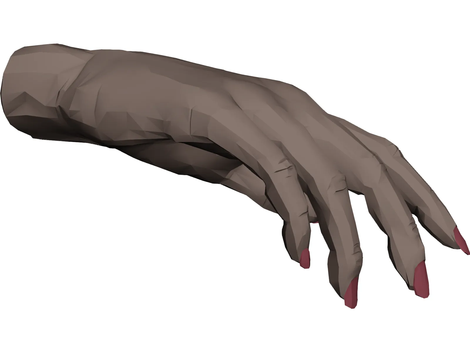 Hand Female 3D Model main preview