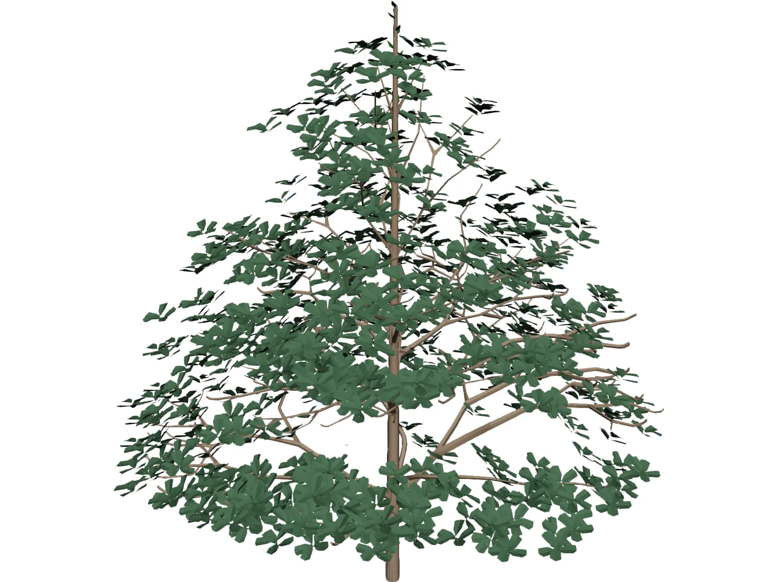 Styrax Officinalis 3D Model main preview