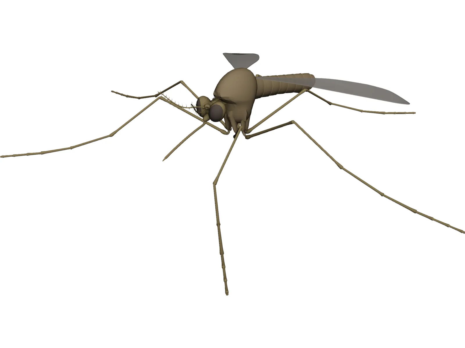 Mosquito 3D Model main preview