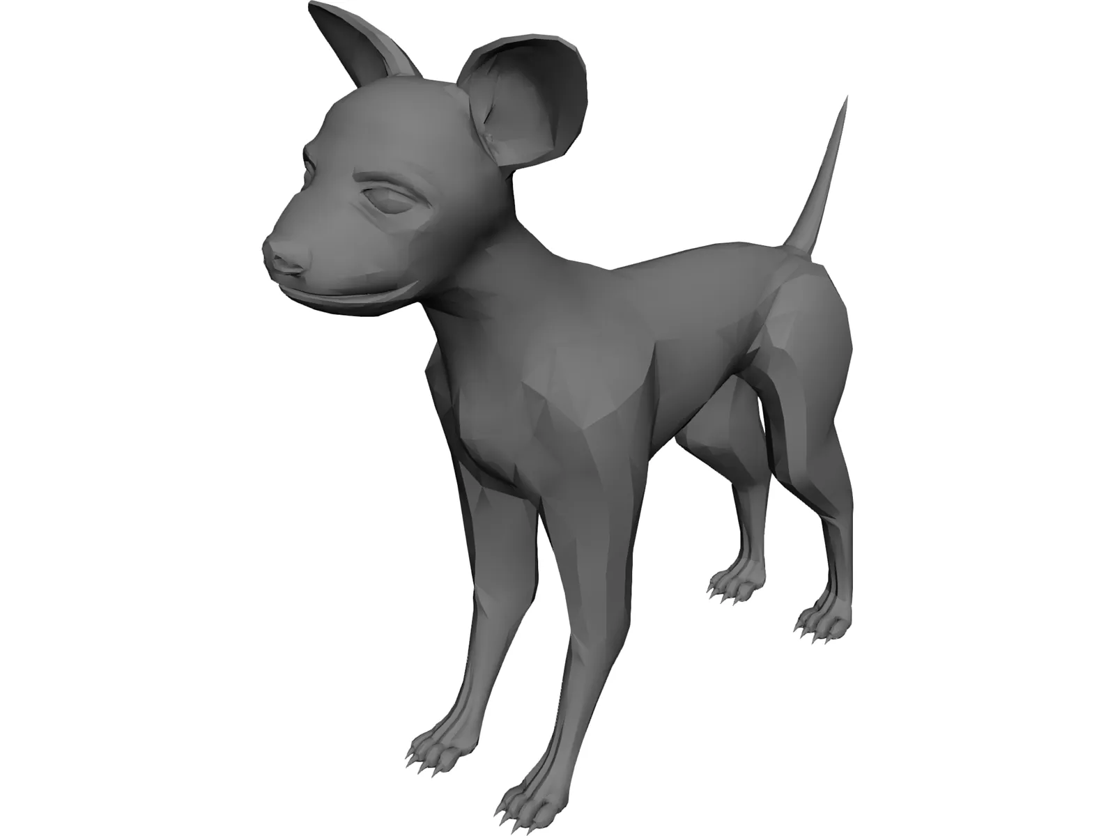 Chihuahua 3D Model main preview