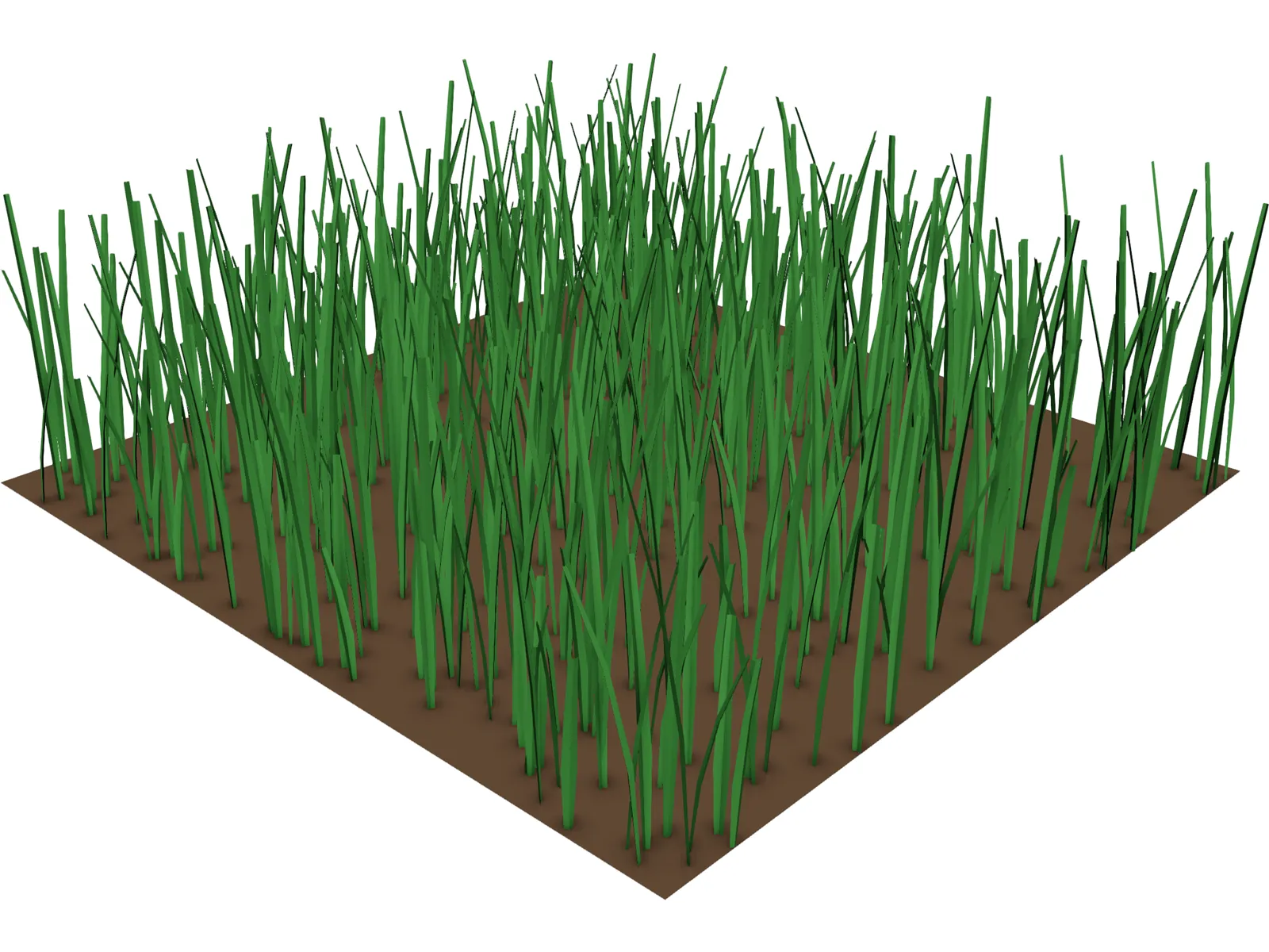Grass 3D Model main preview