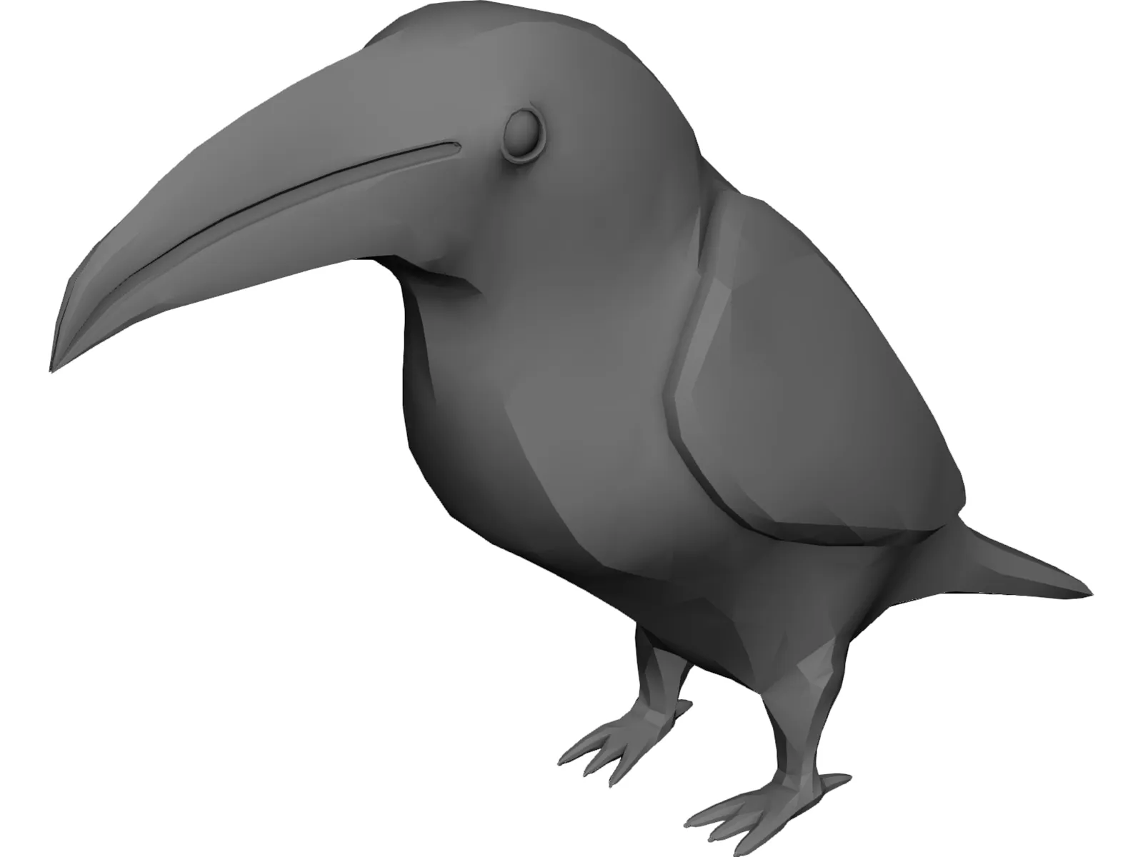 Tucan 3D Model main preview