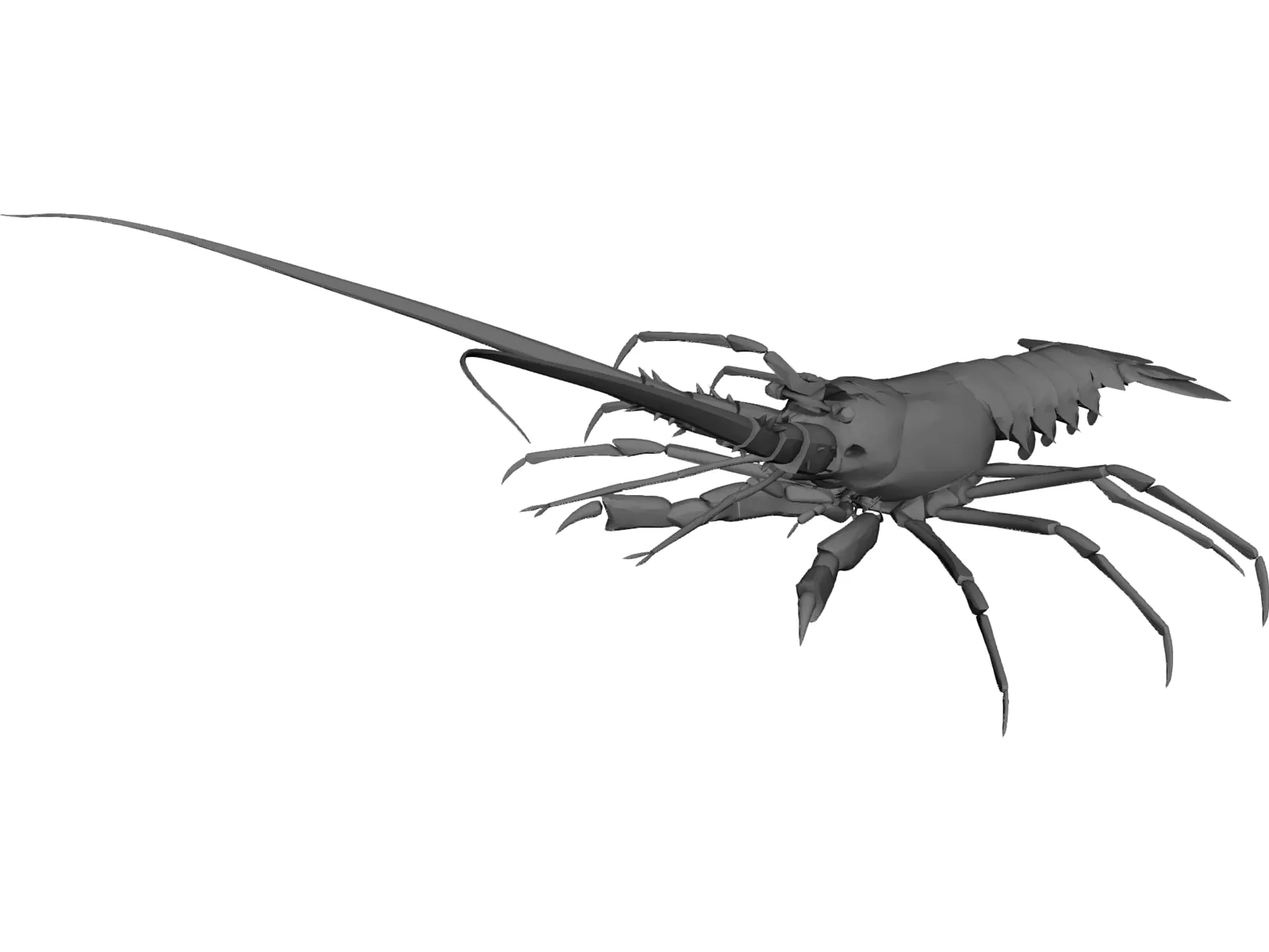 Lobster 3D Model main preview
