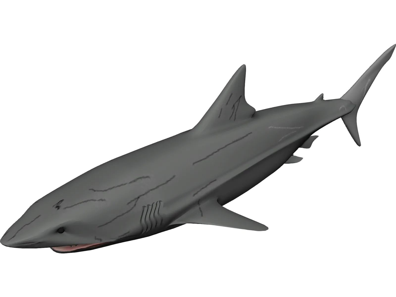 Great White Shark 3D Model main preview