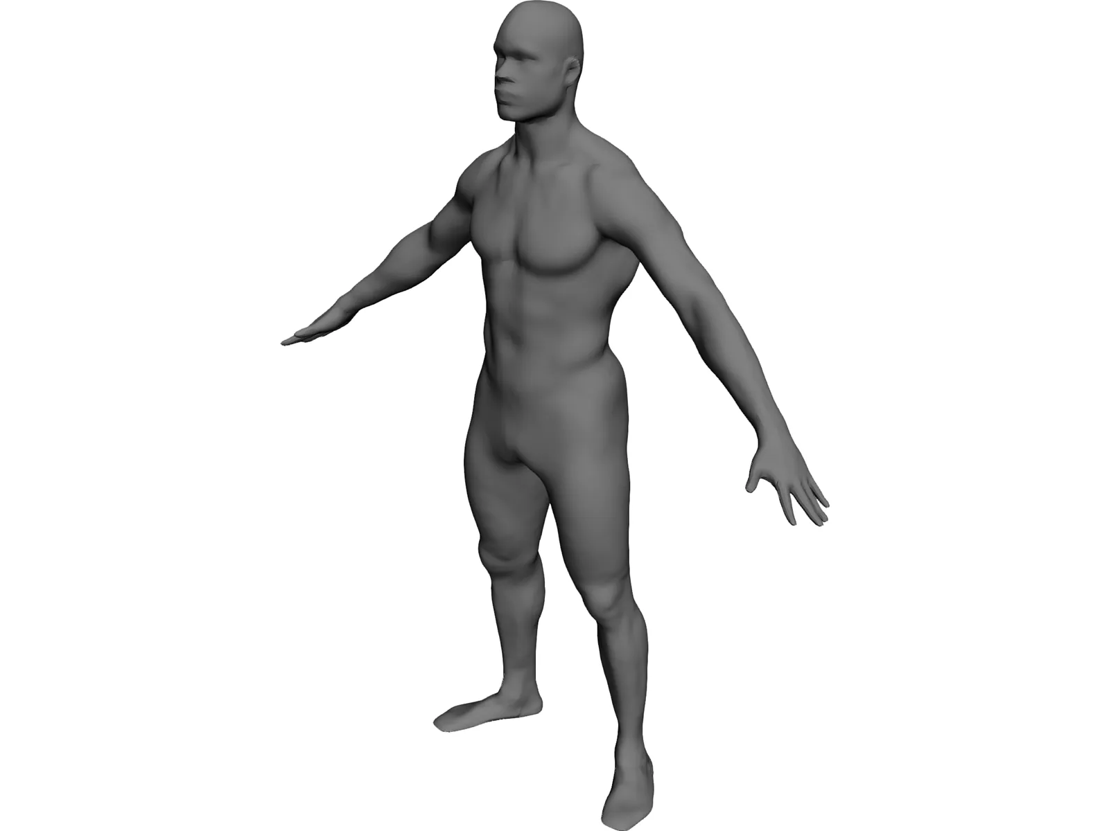 Man Body International 3D Model main preview