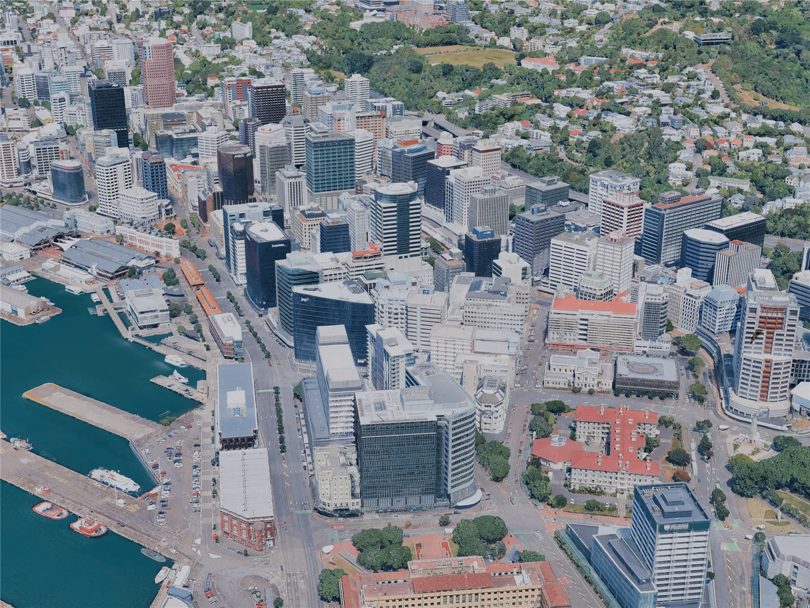 Wellington City, New Zealand (2025) 3D Model main preview