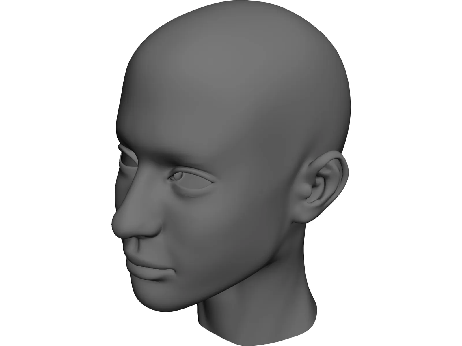 Head 3D Model main preview