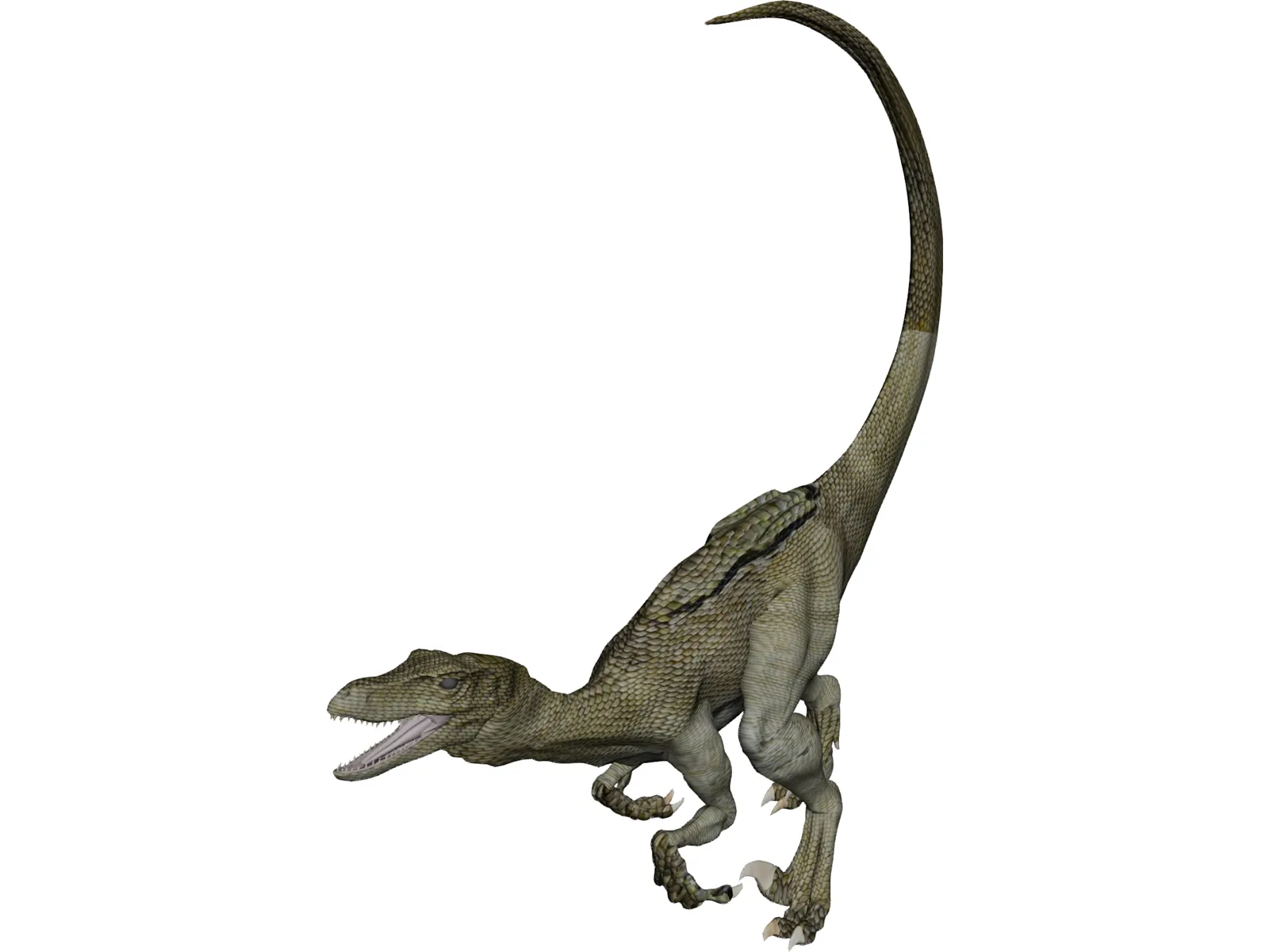 Raptor 3D Model main preview