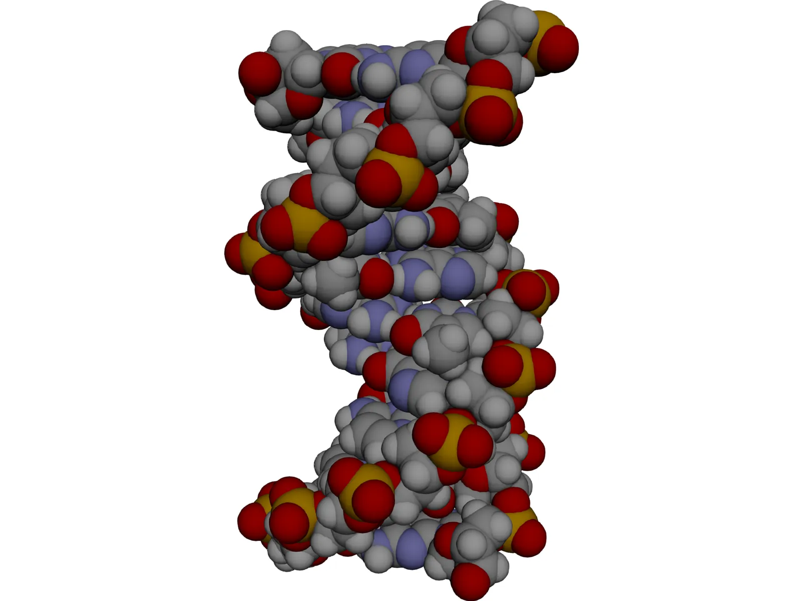 B-DNA 3D Model main preview