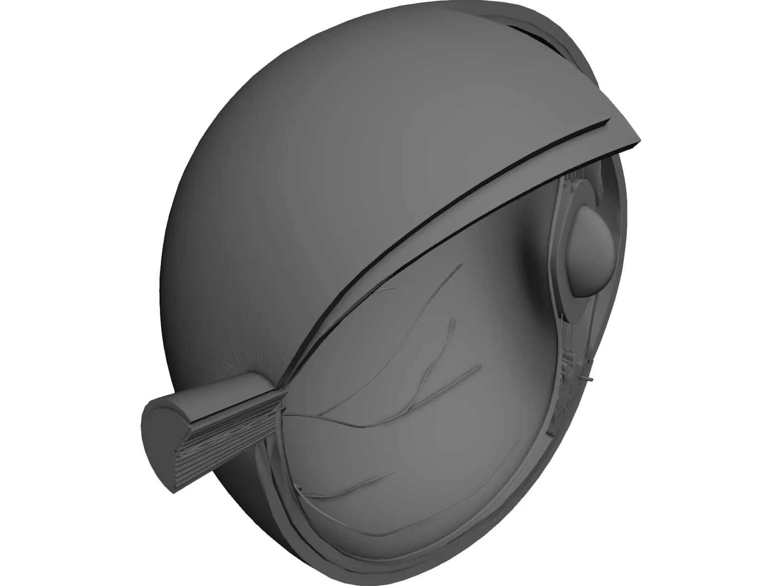 Human Eye Cross Section 3D Model main preview