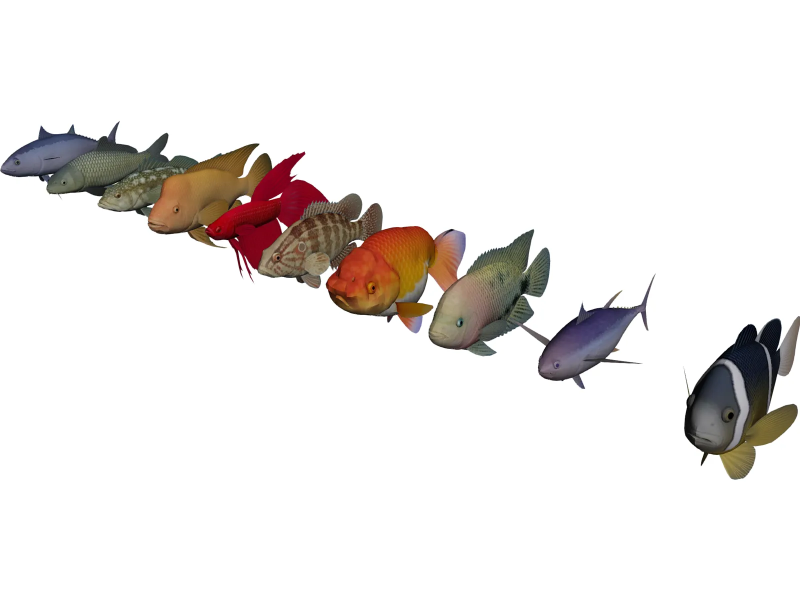 Fish Collection 3D Model main preview