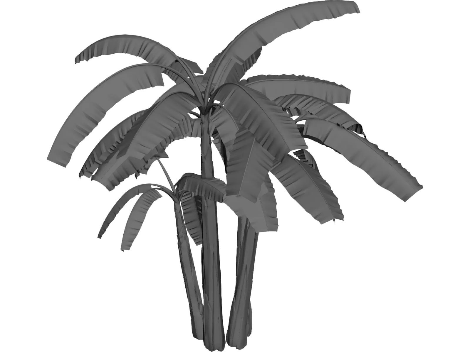 Brasil Bananeira 3D Model main preview