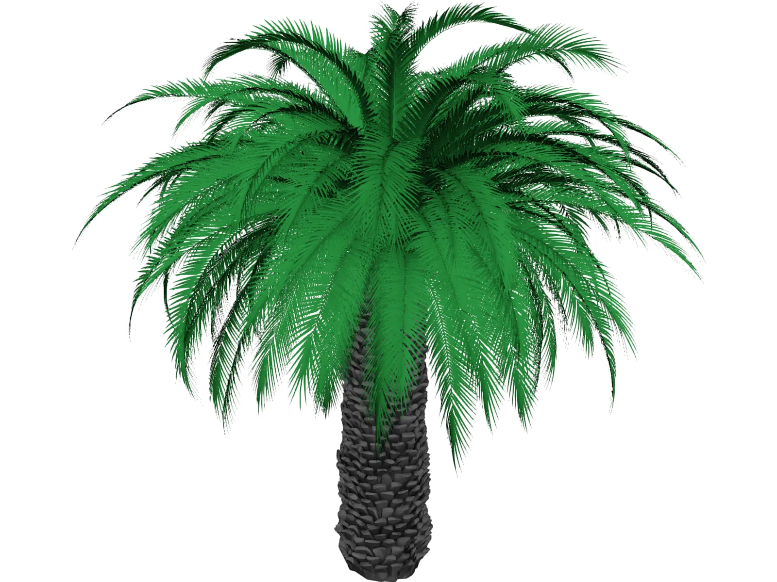 Tree 3D Model main preview