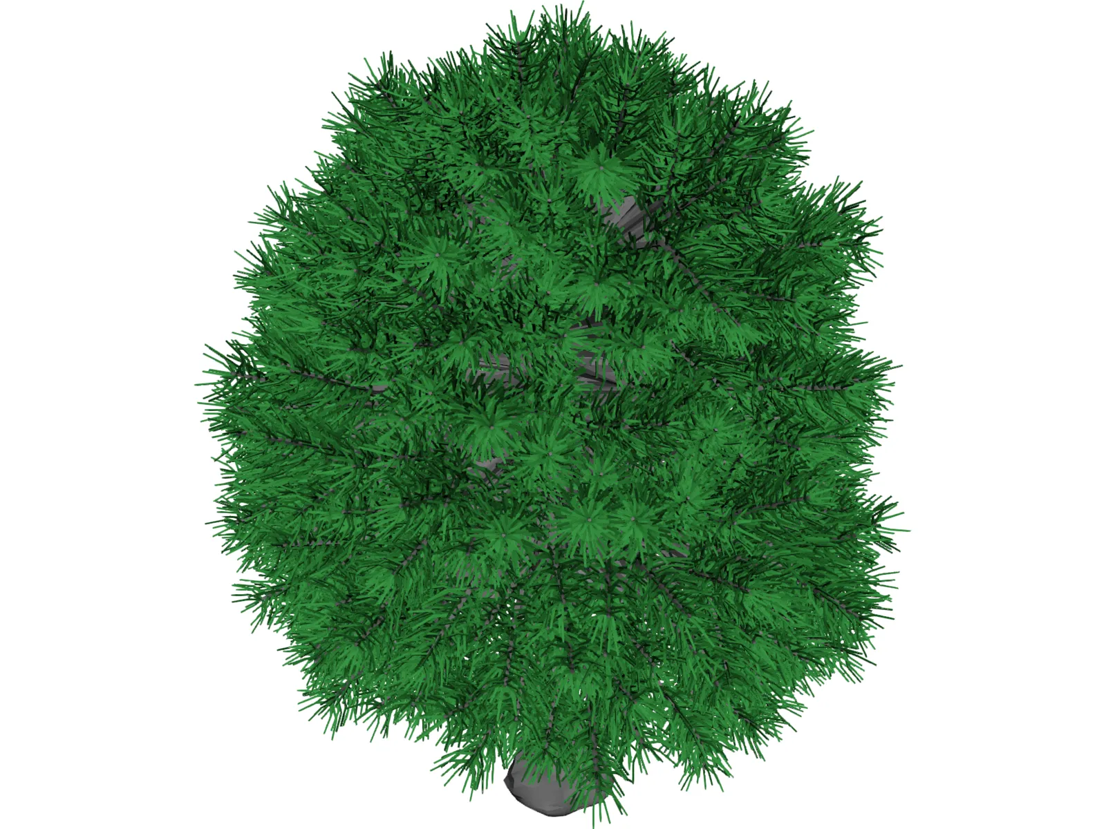 Tree 3D Model main preview