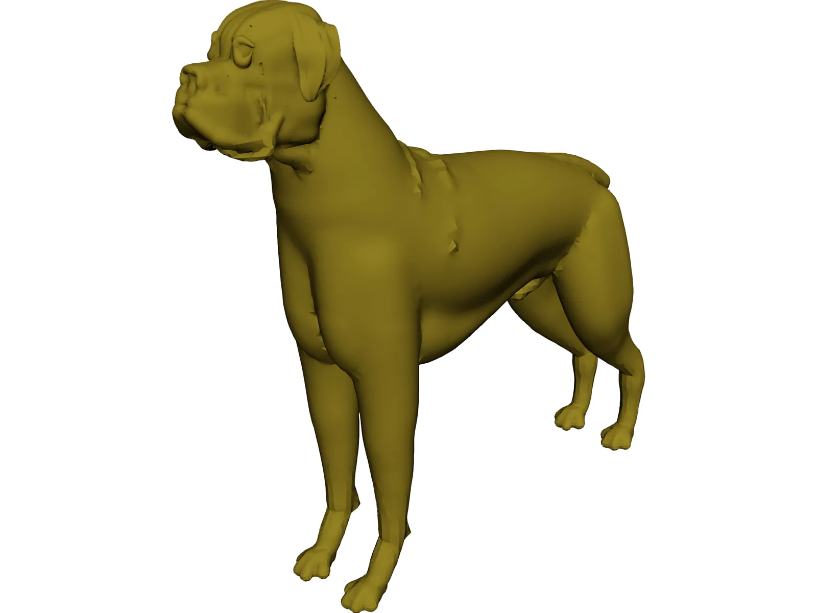 Dog Boxer 3D Model main preview