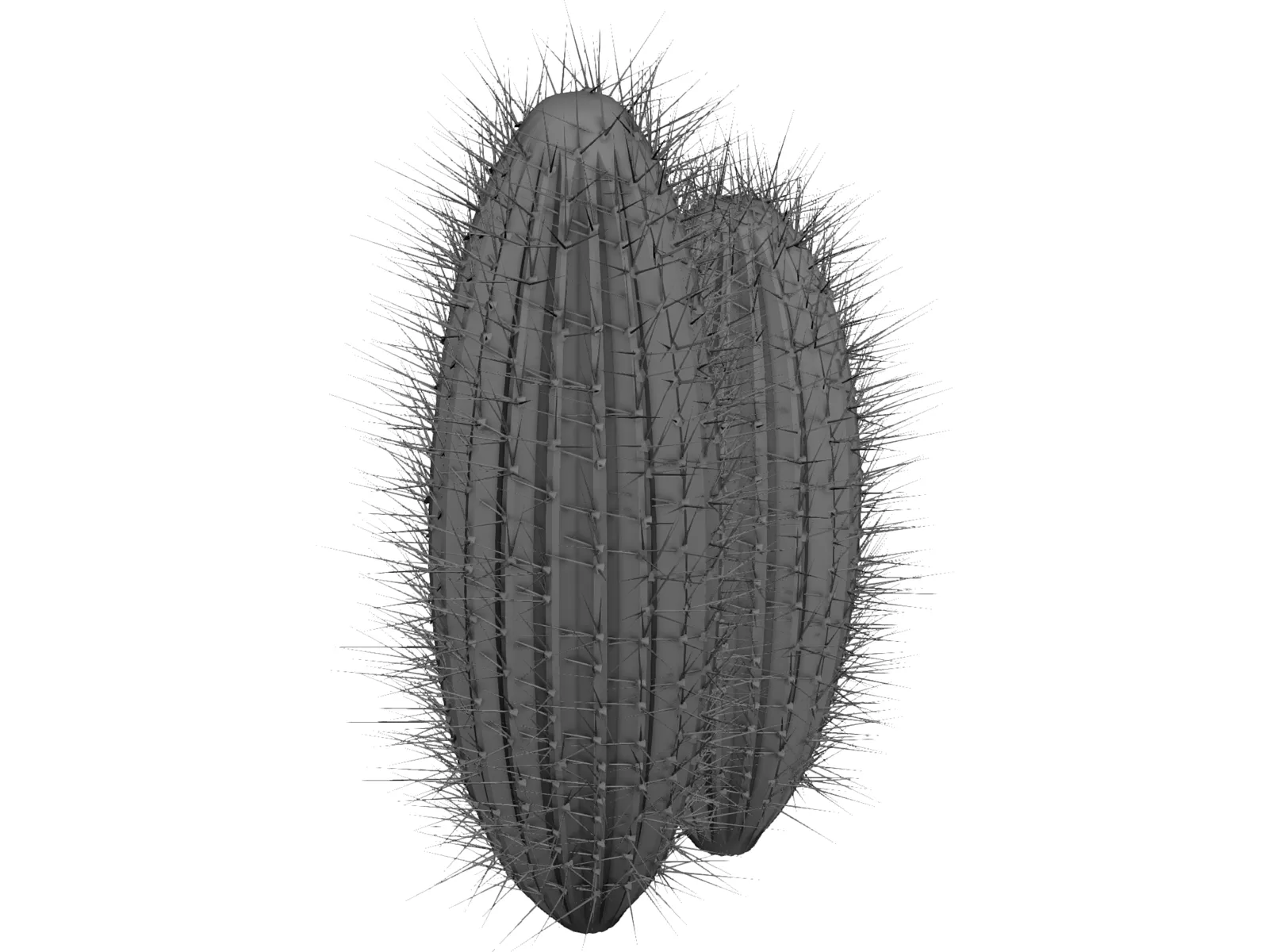 Cactus 3D Model main preview