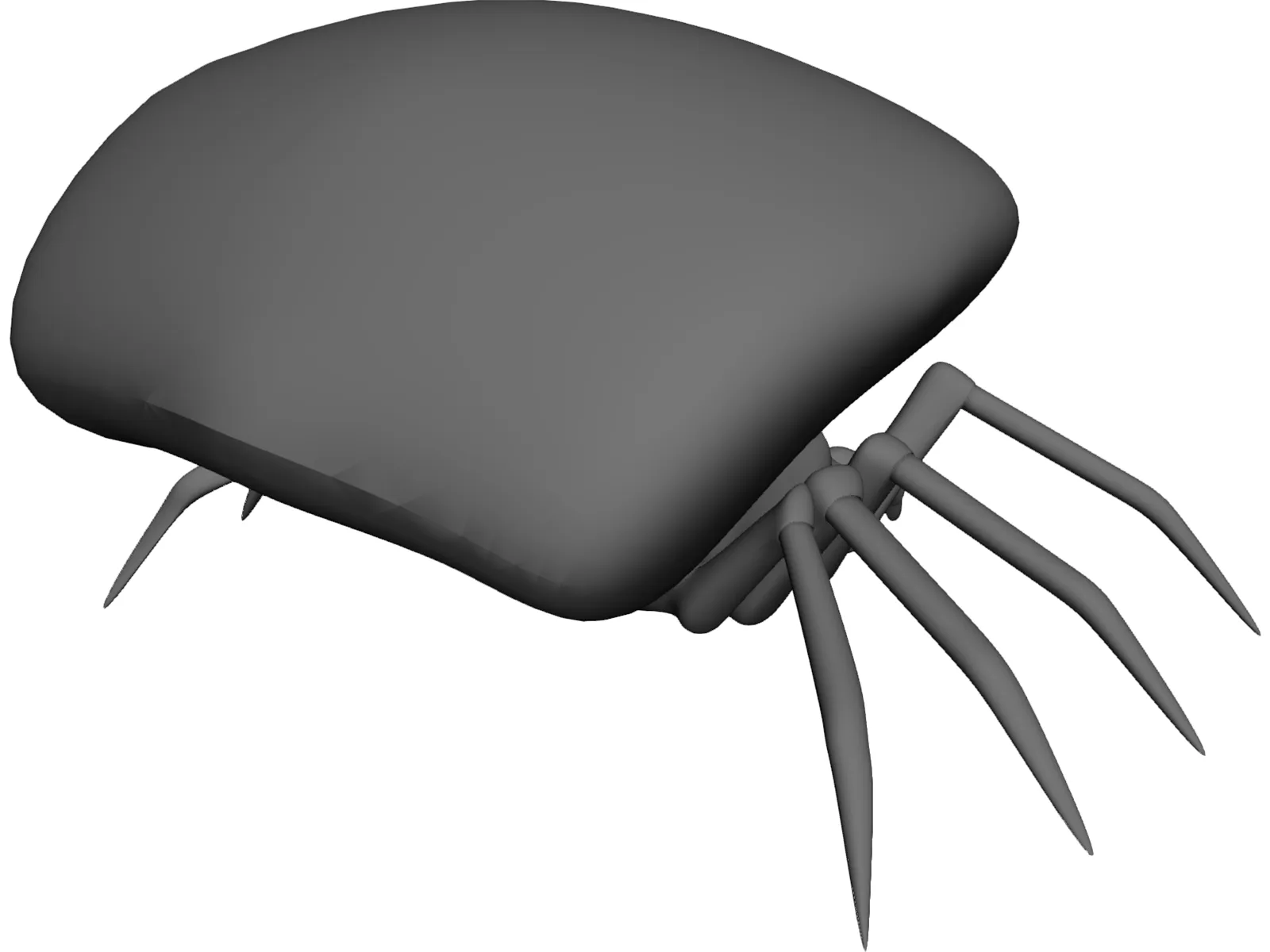 Jumping Spider 3D Model main preview