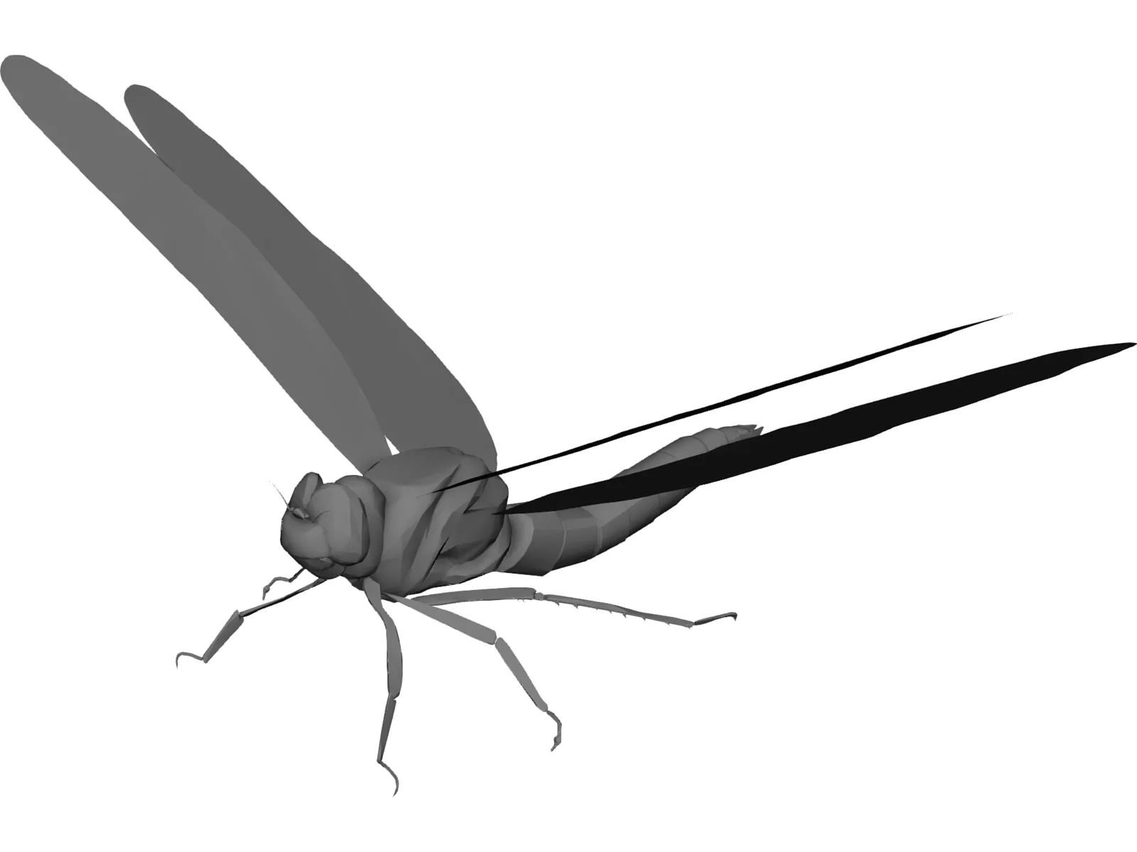 Dragon Fly 3D Model main preview