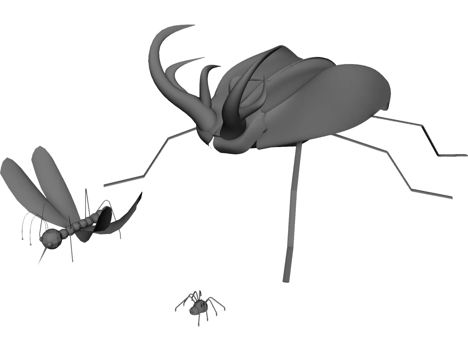 Insects 3D Model main preview