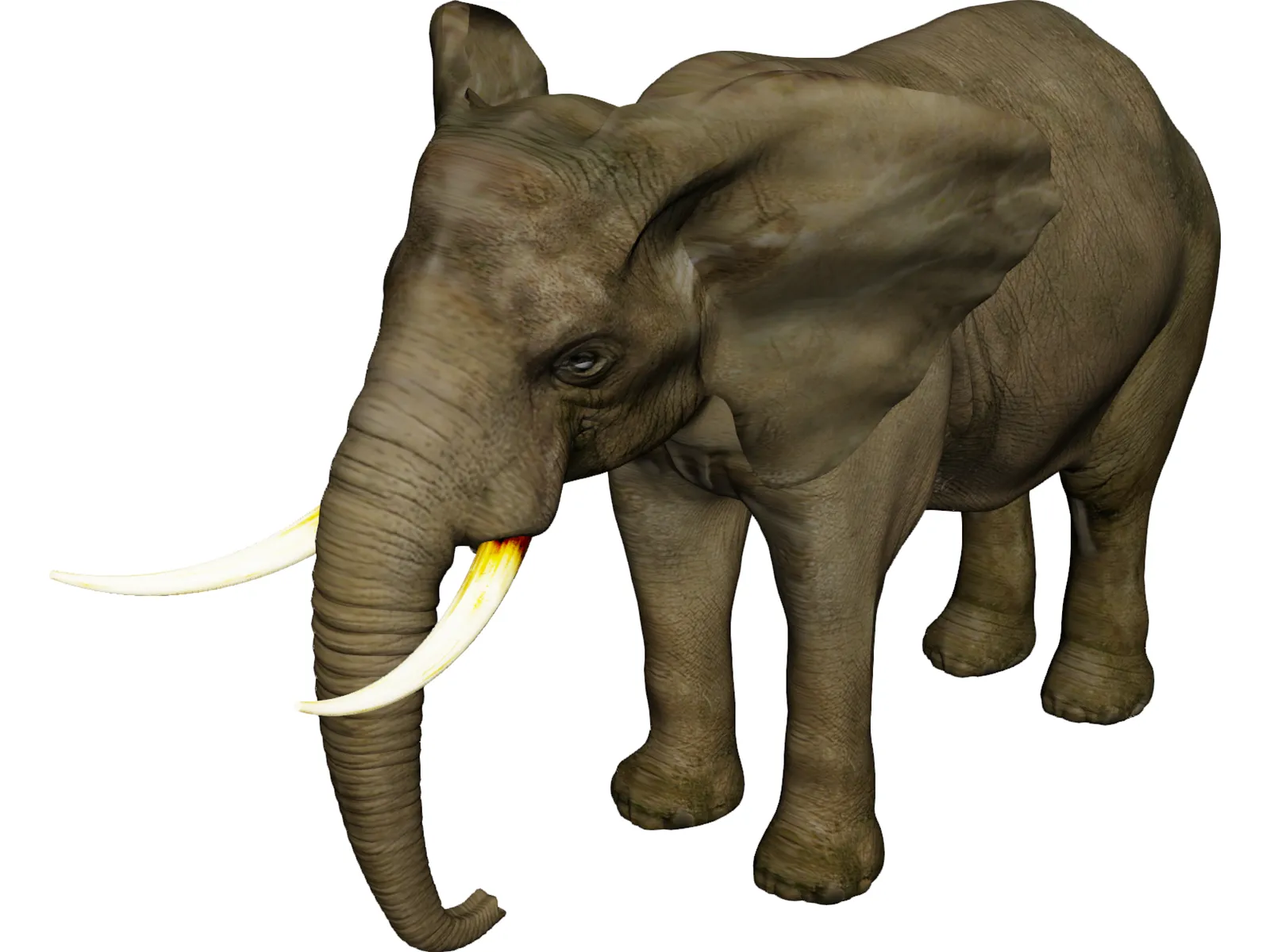 Elephant African Male 3D Model main preview